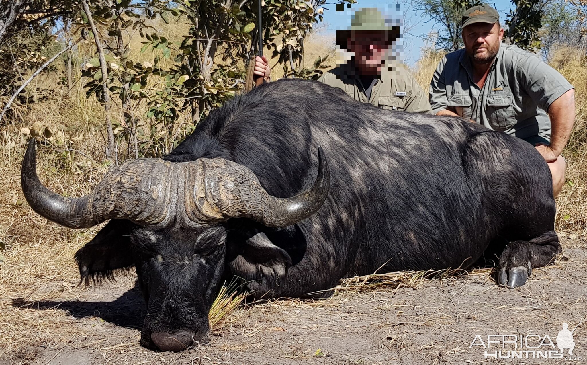 Namibia Hunt Cape Buffalo