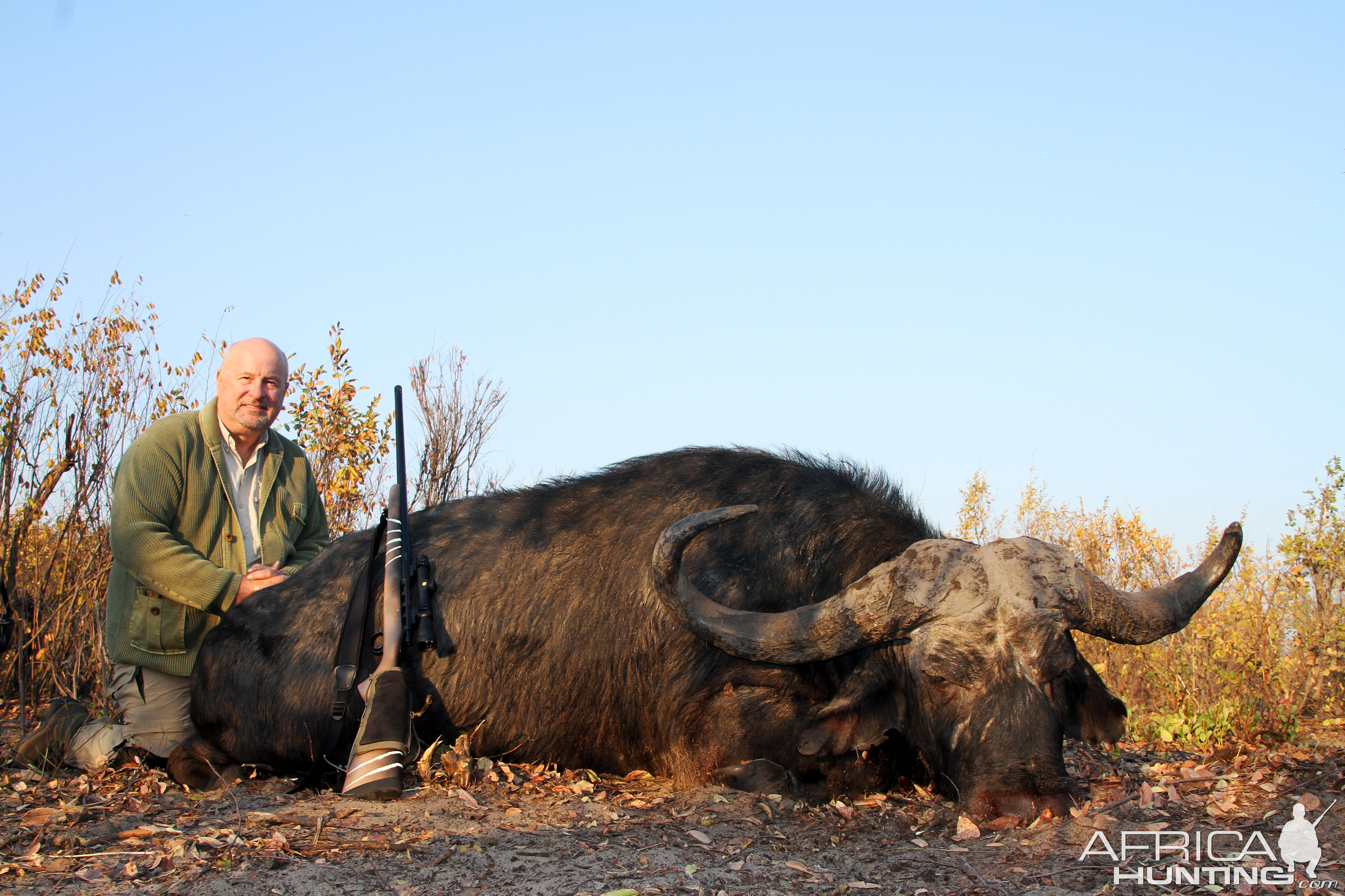 Namibia Hunt Cape Buffalo