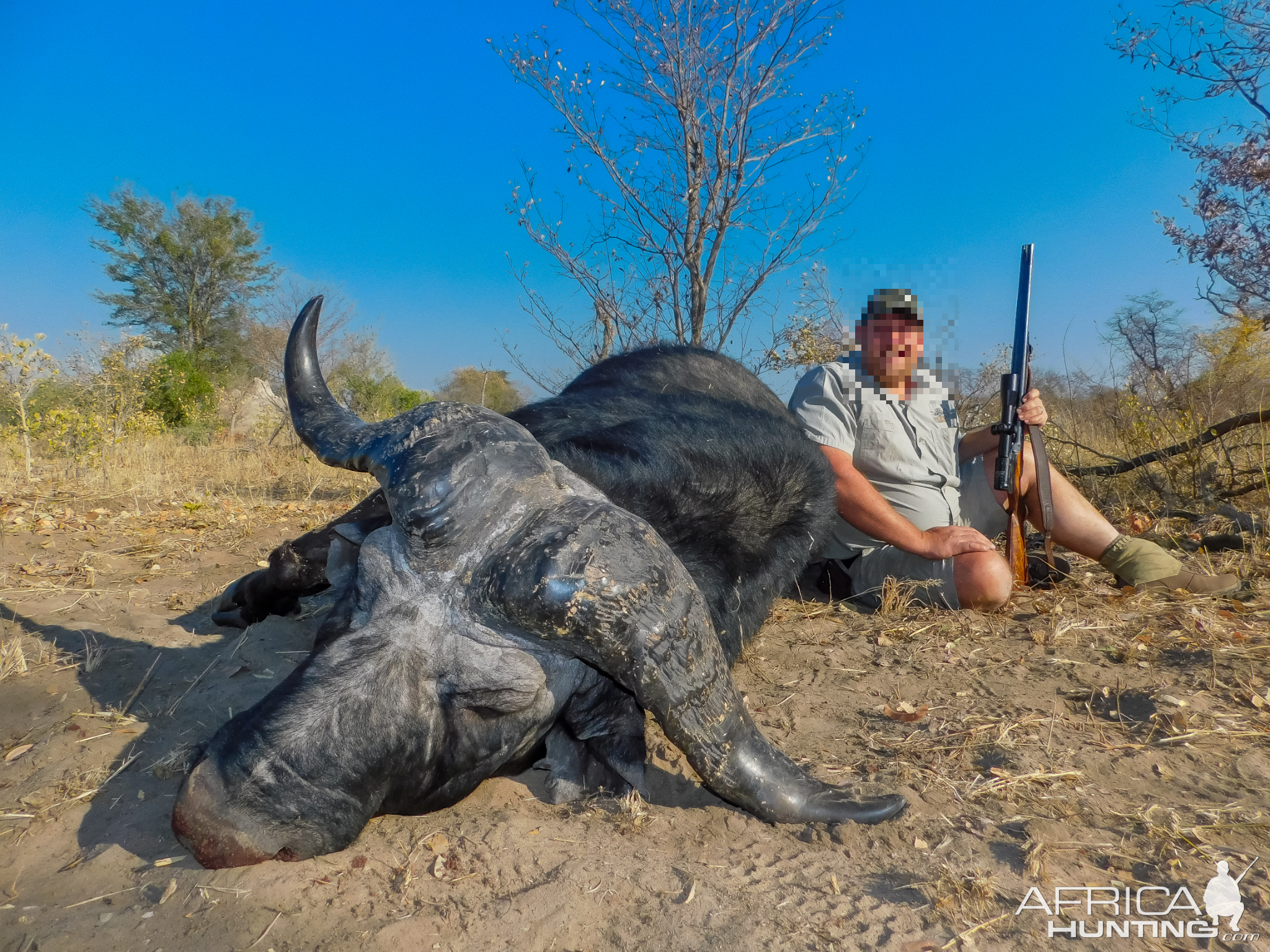 Namibia Hunt Cape Buffalo