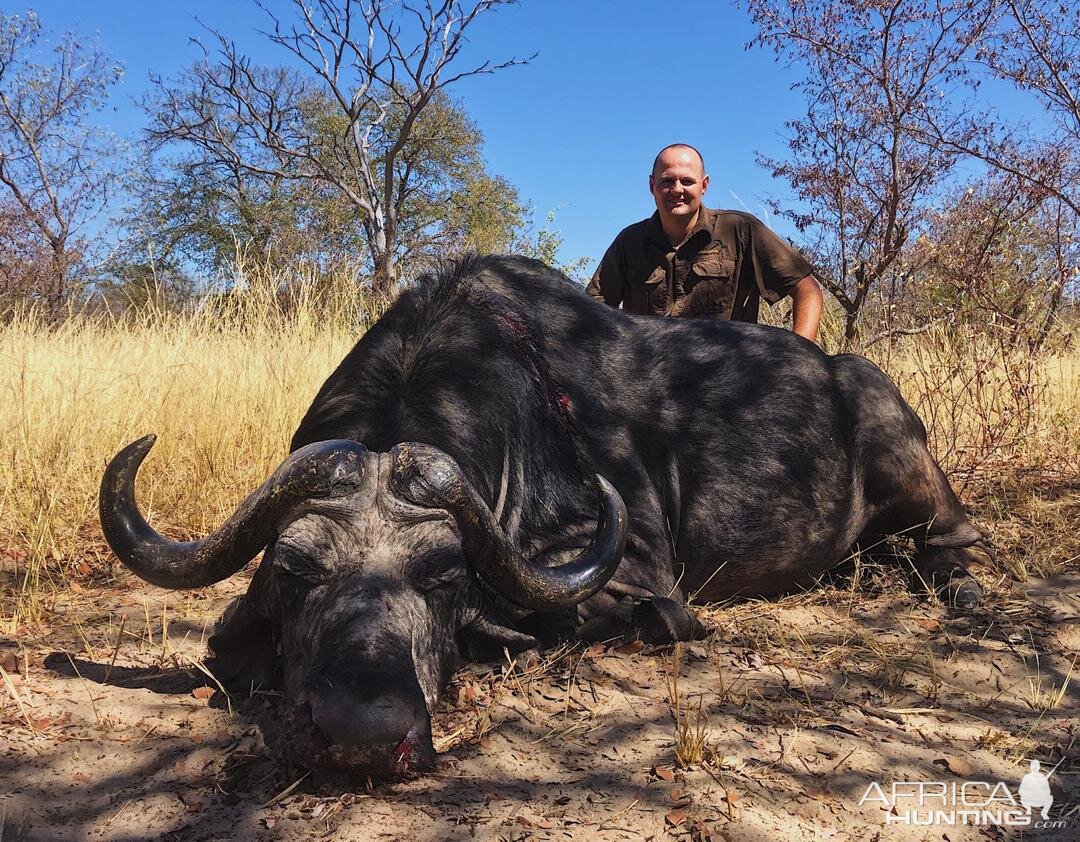 Namibia Hunt Cape Buffalo