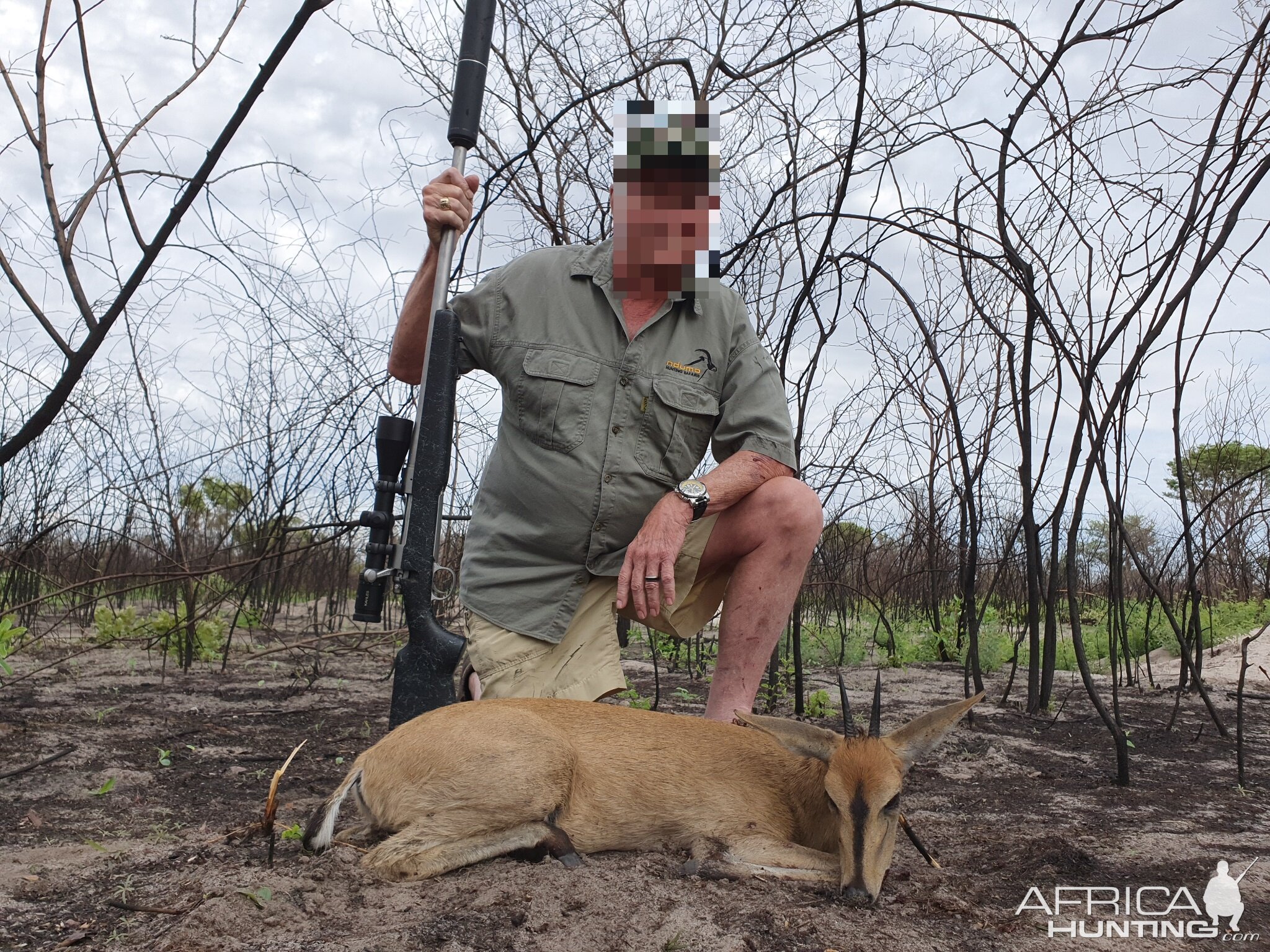 Namibia Hunt Duiker