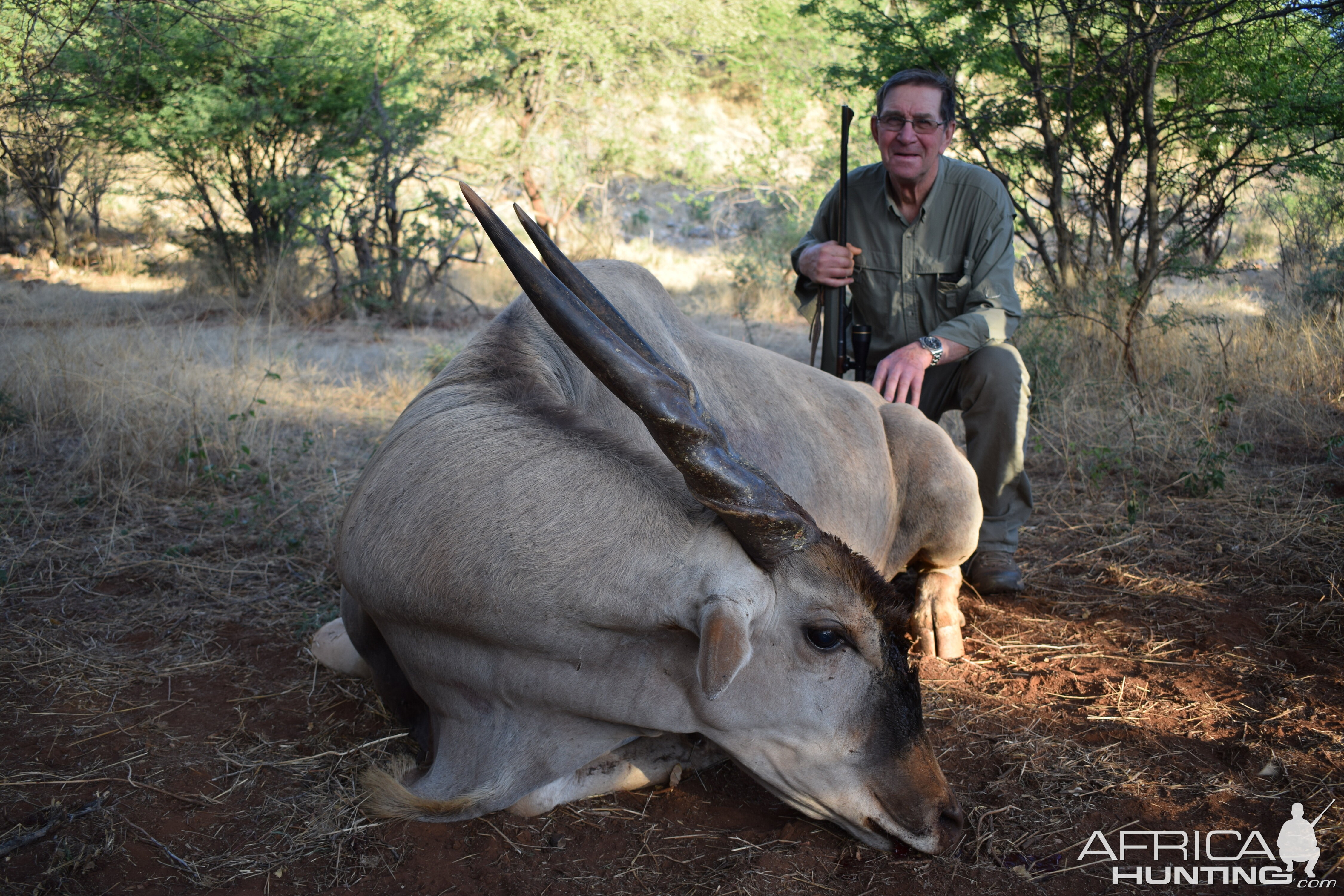 Namibia Hunt Eland