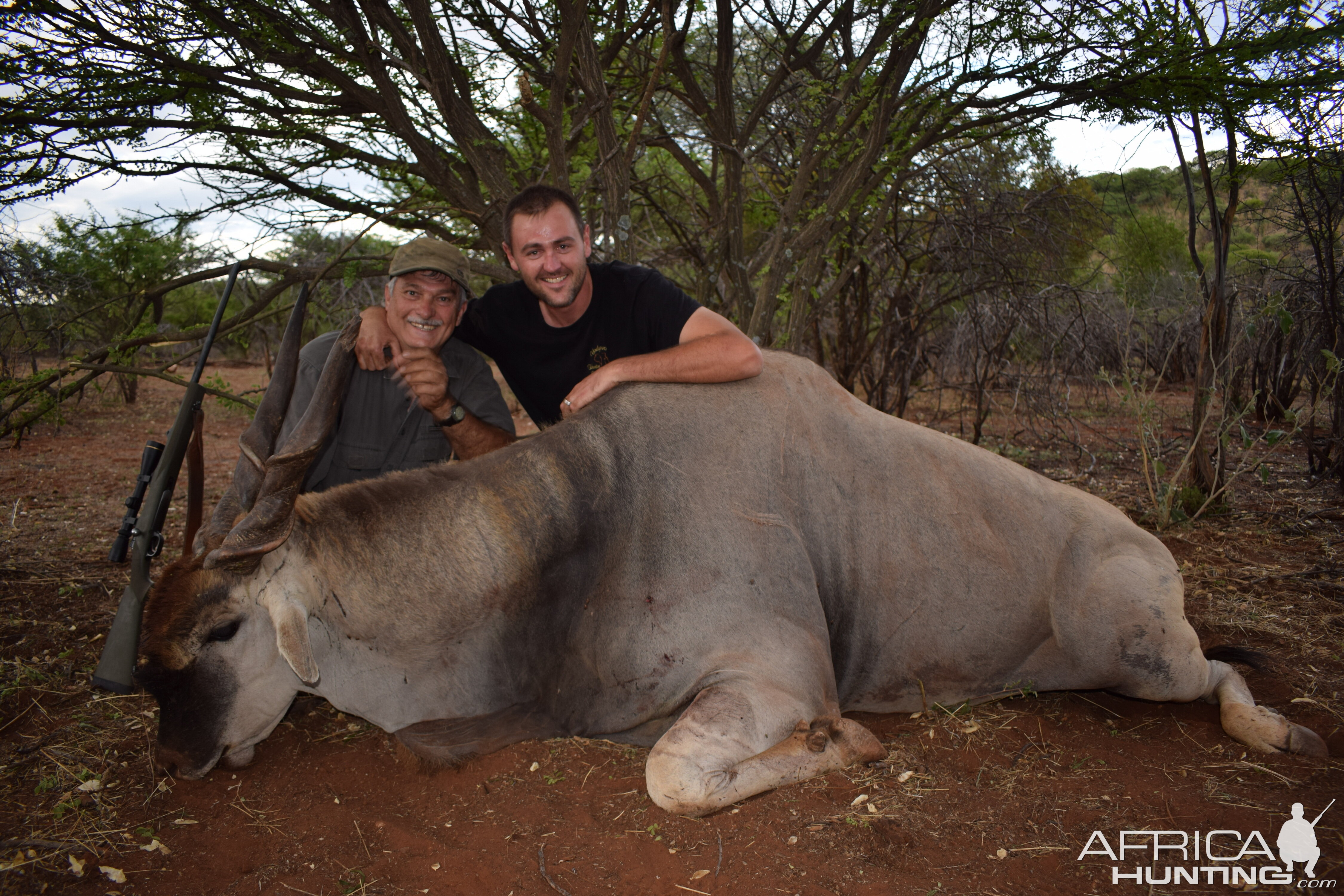 Namibia Hunt Eland