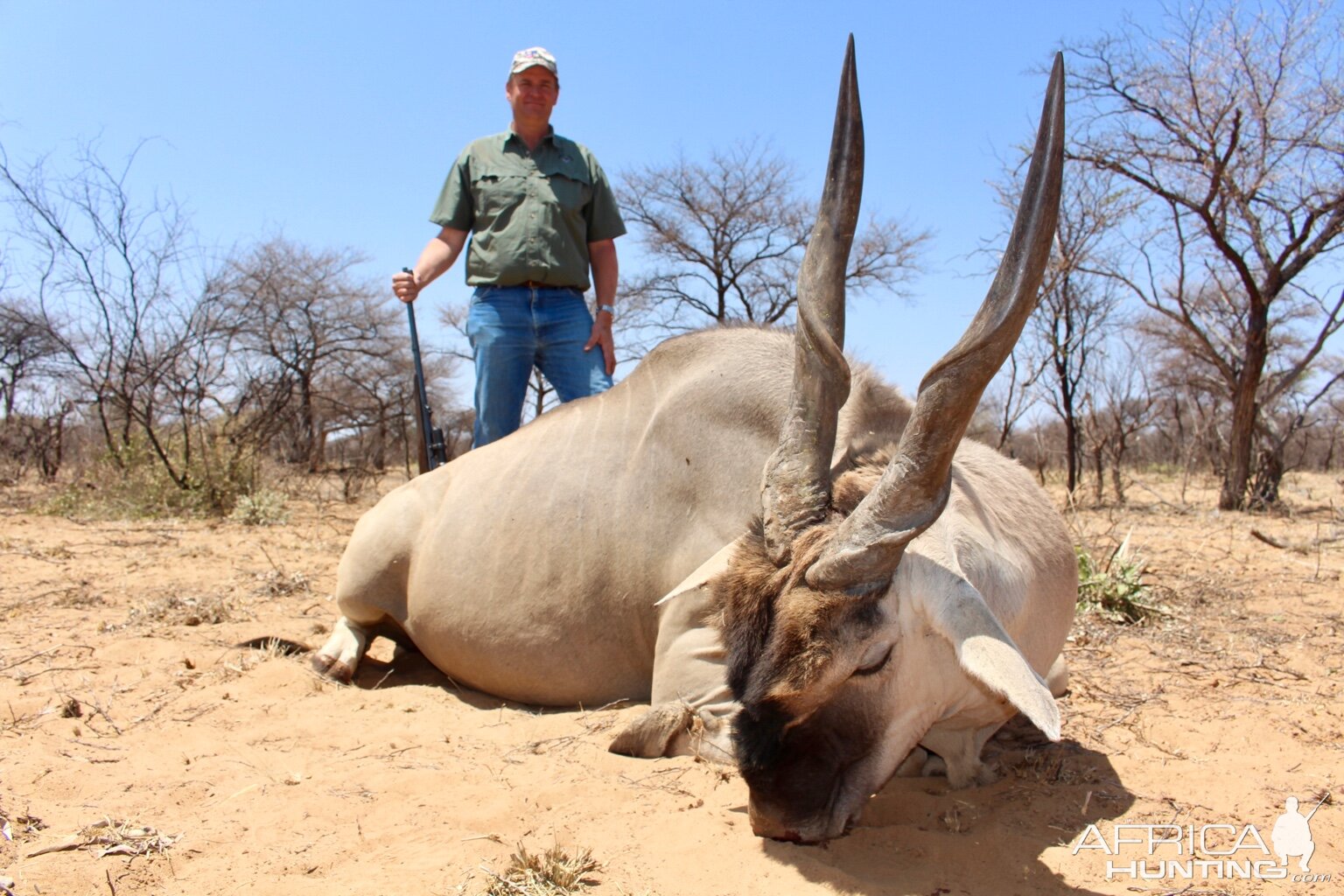 Namibia Hunt Eland