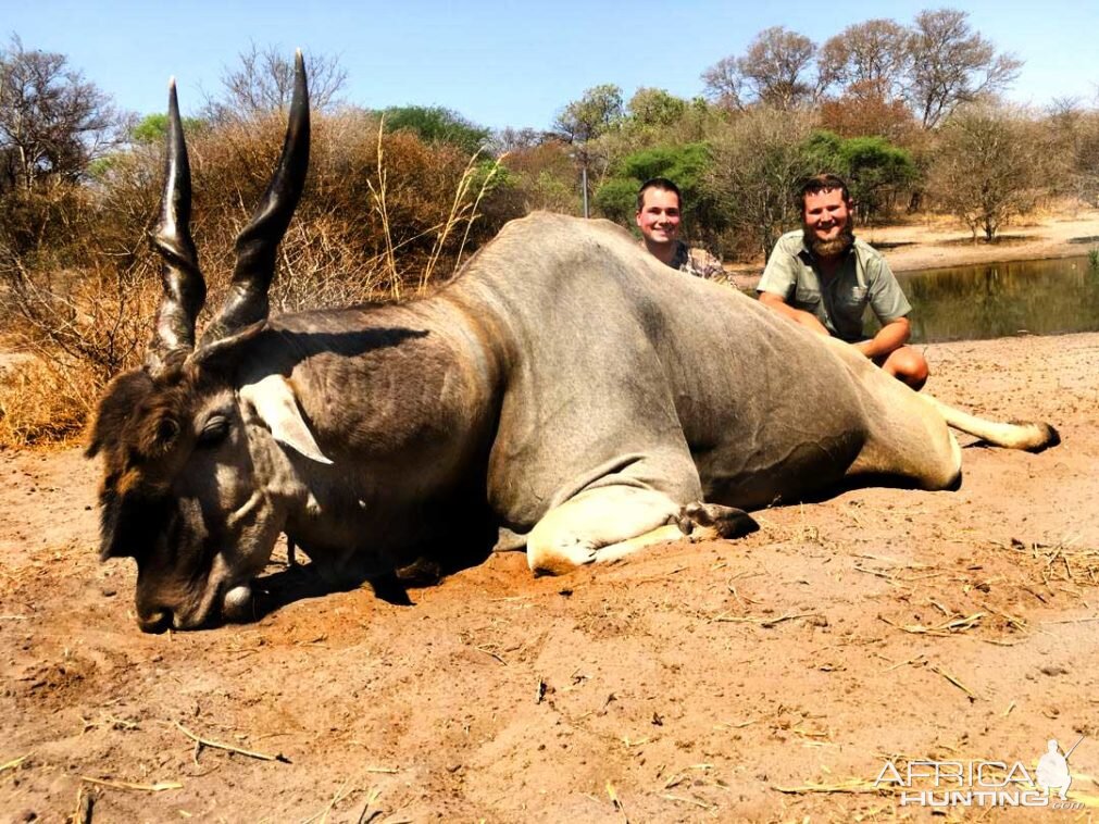 Namibia Hunt Eland