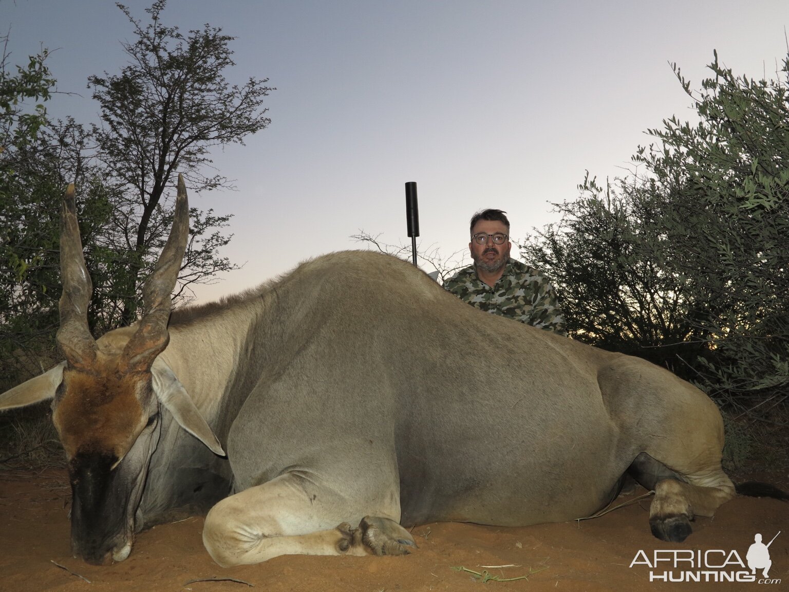 Namibia Hunt Eland