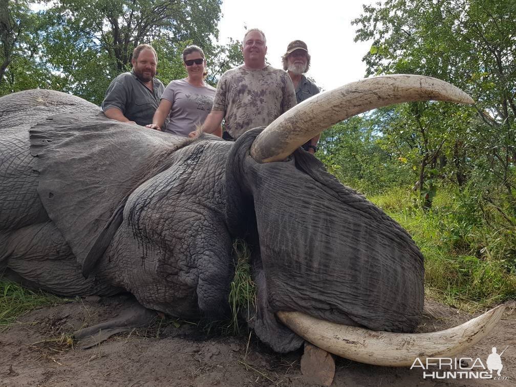 Namibia Hunt Elephant