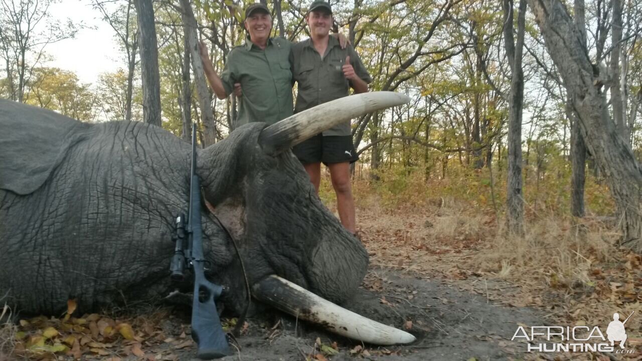 Namibia Hunt Elephant