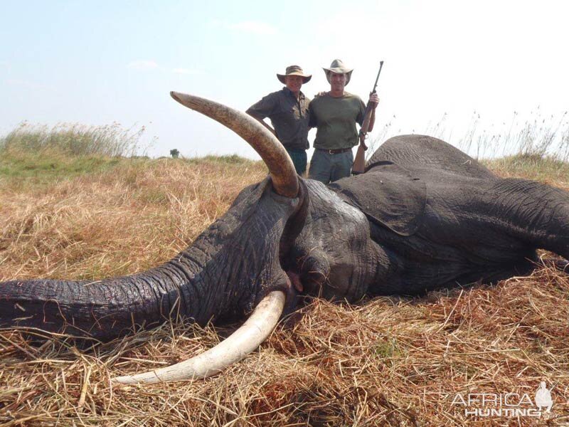 Namibia Hunt Elephant