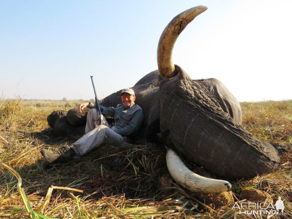 Namibia Hunt Elephant