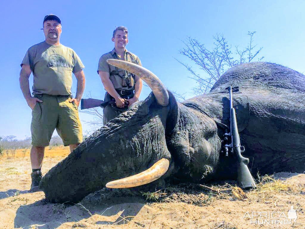 Namibia Hunt Elephant