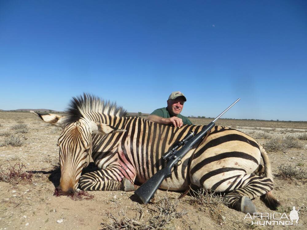 Namibia Hunt Hartmann's Mountain Zebra