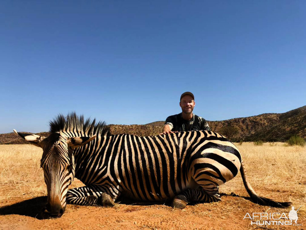 Namibia Hunt Hartmann's Mountain Zebra