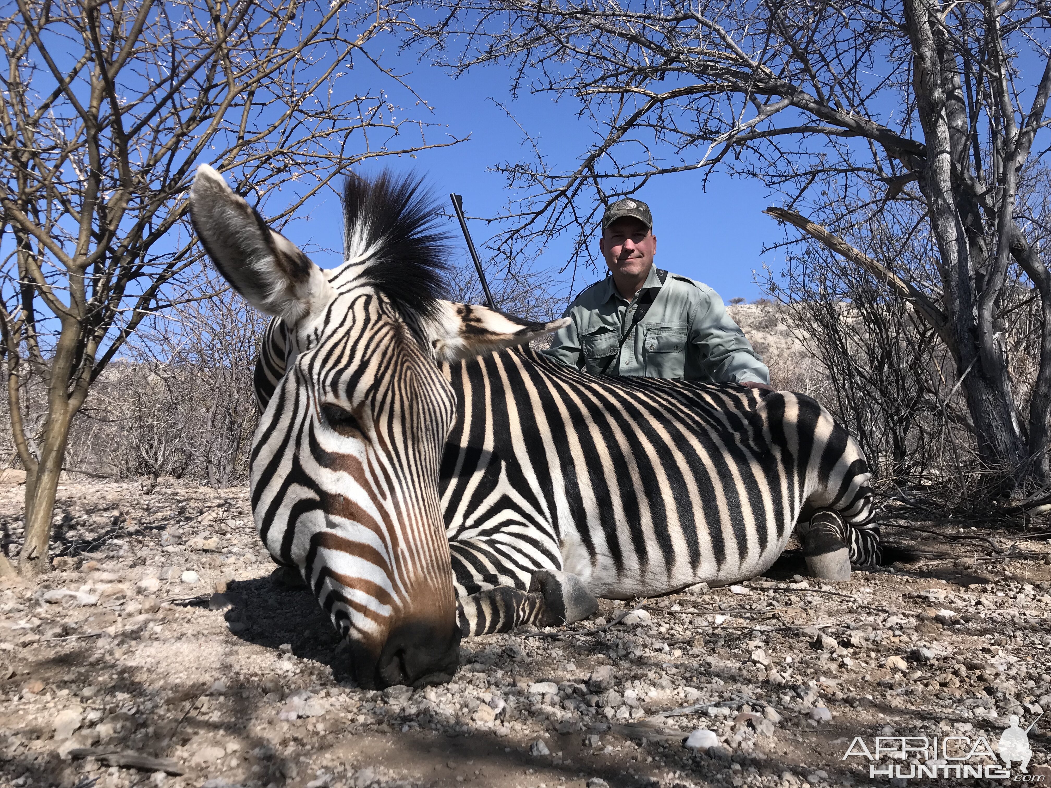 Namibia Hunt Hartmann's Mountain Zebra