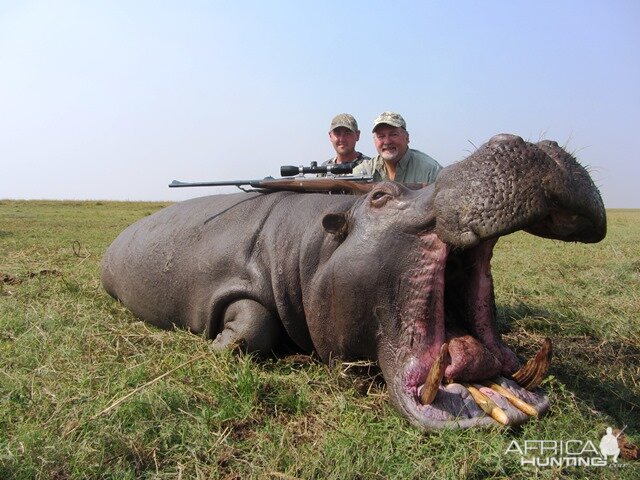 Namibia Hunt Hippo