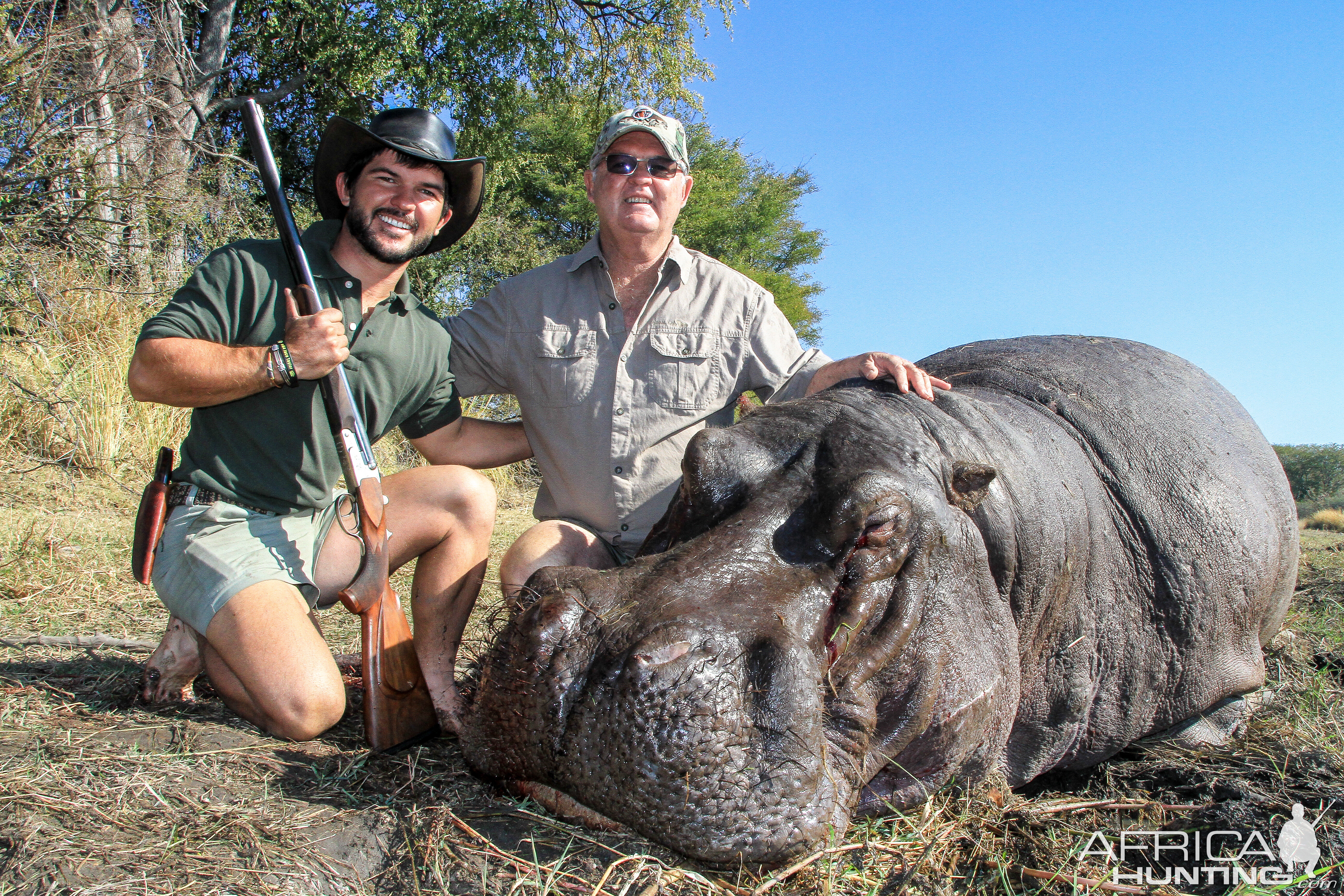 Namibia Hunt Hippo