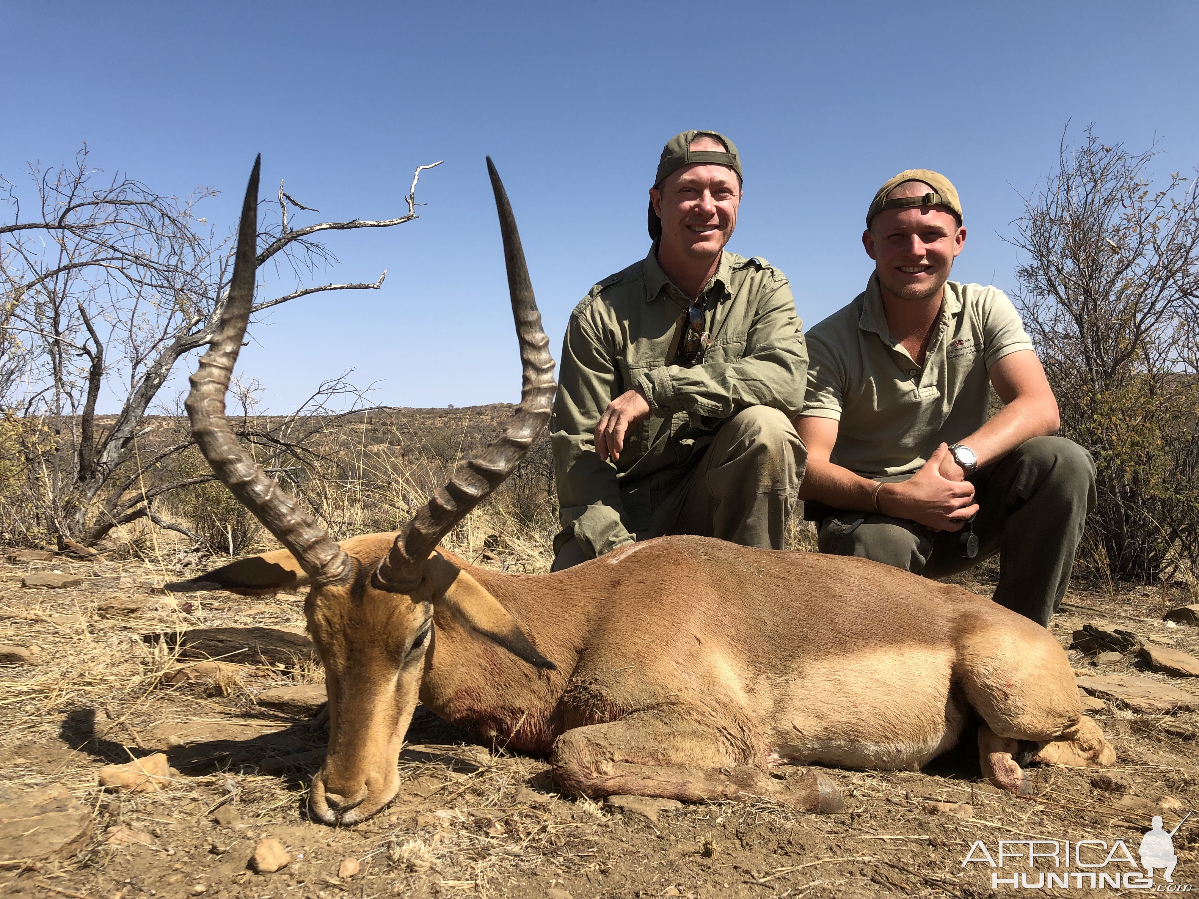 Namibia Hunt Impala