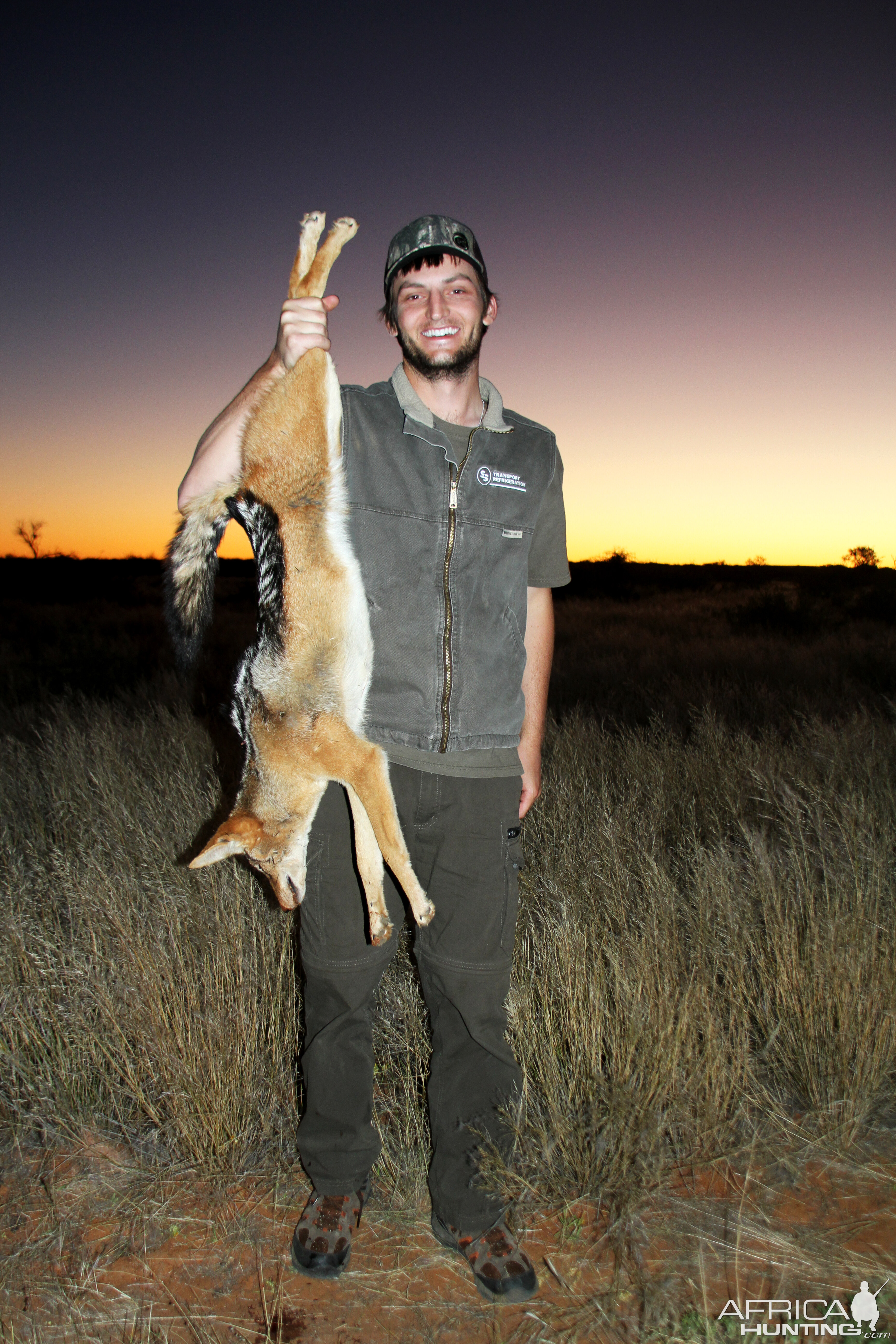 Namibia Hunt Jackal