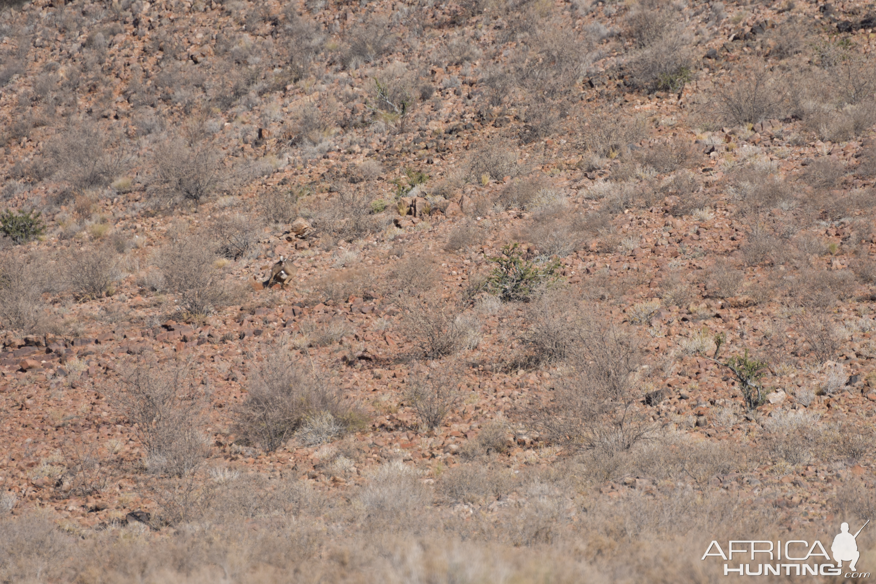 Namibia Hunt Kudu