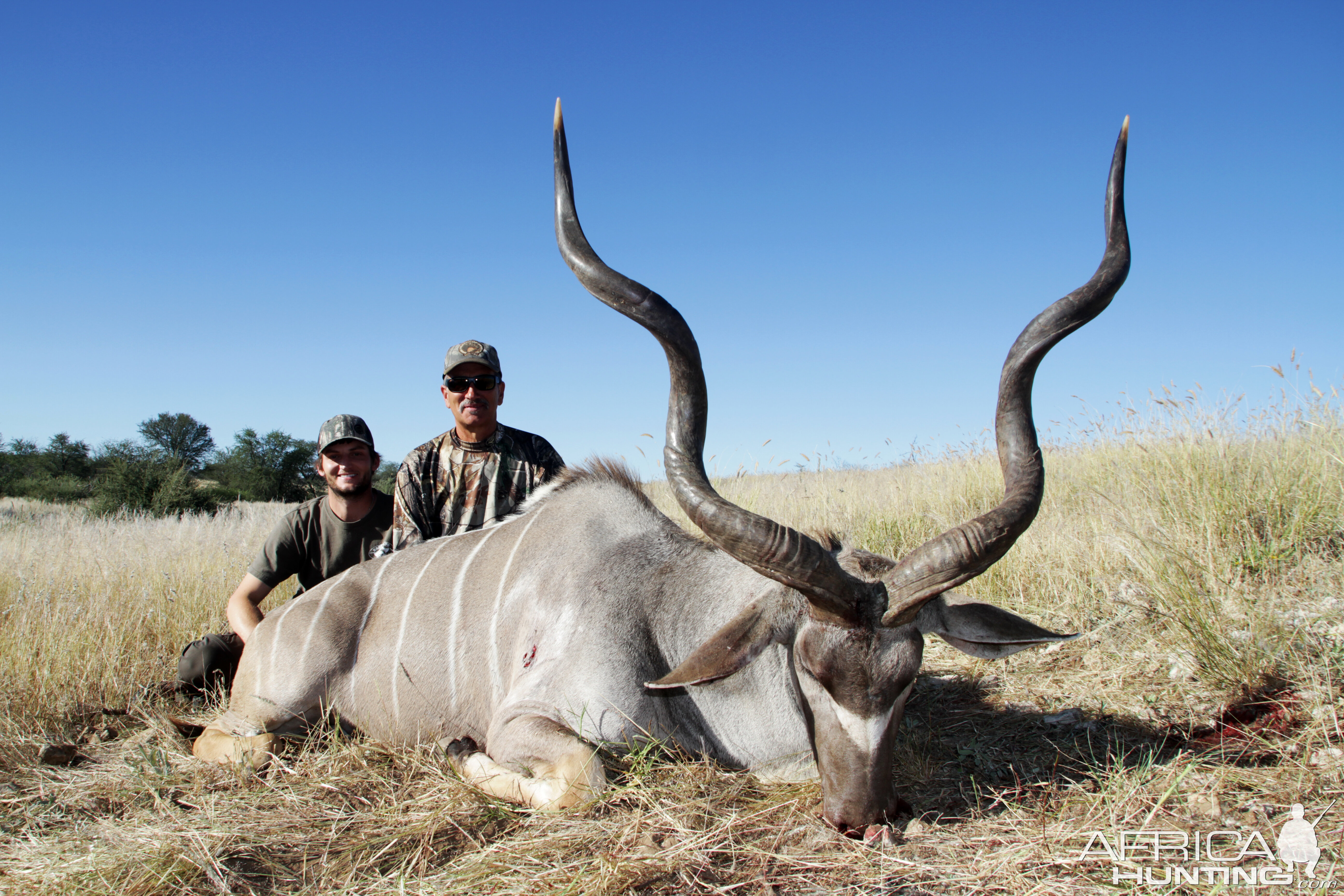 Namibia Hunt Kudu