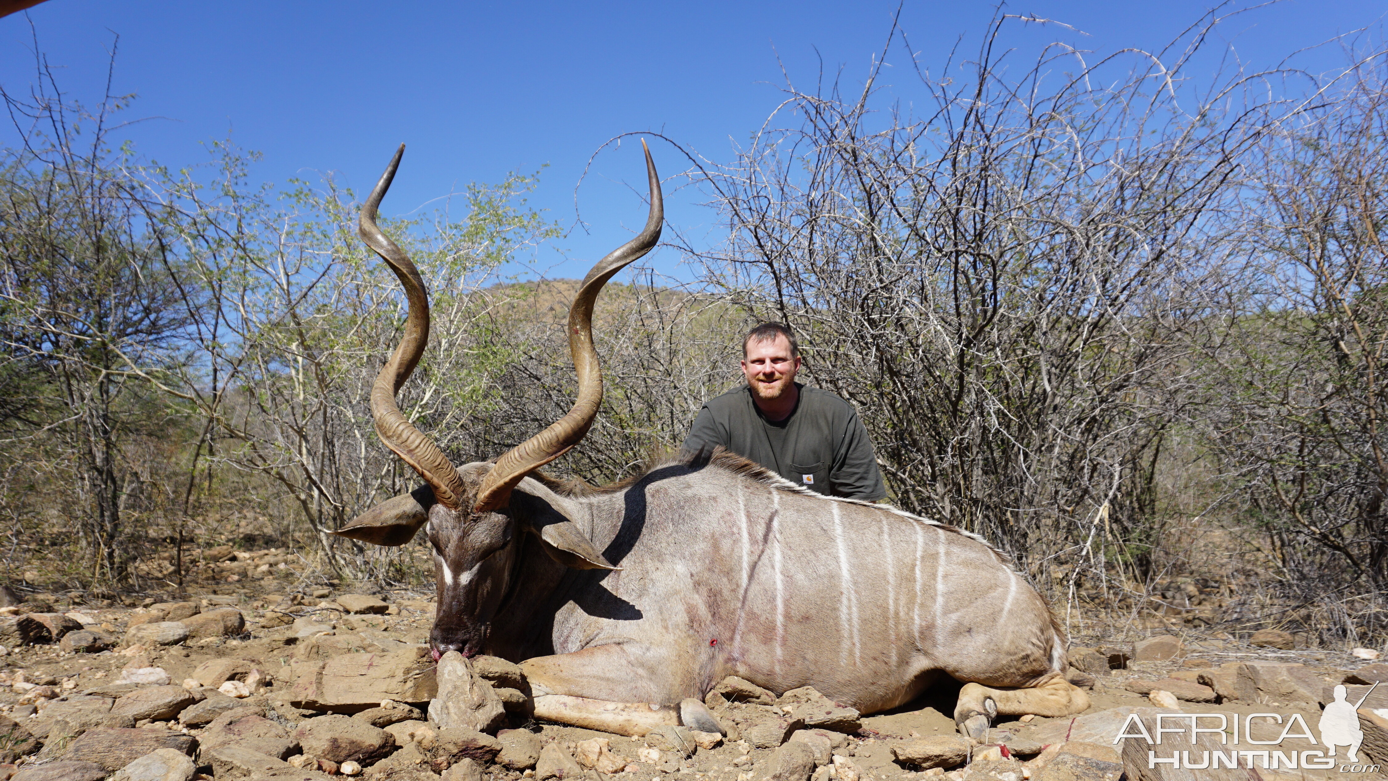 Namibia Hunt Kudu