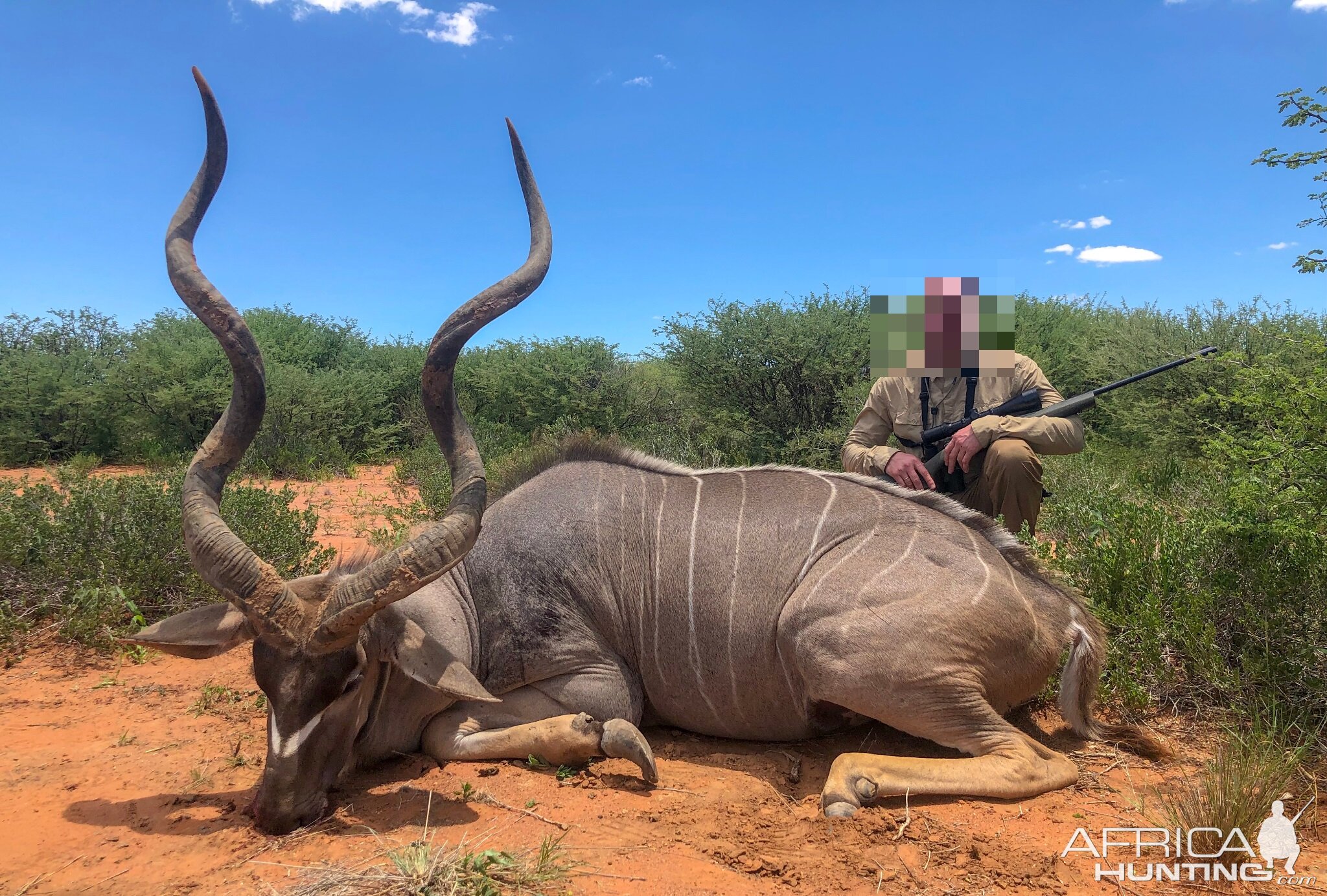 Namibia Hunt Kudu