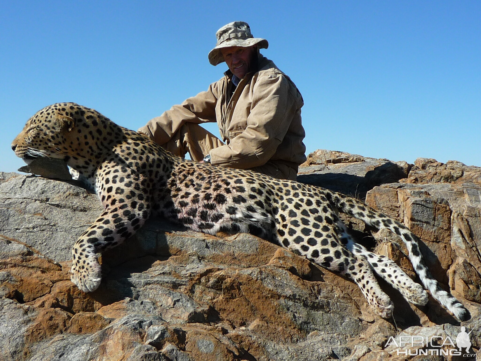 Namibia Hunt Leopard