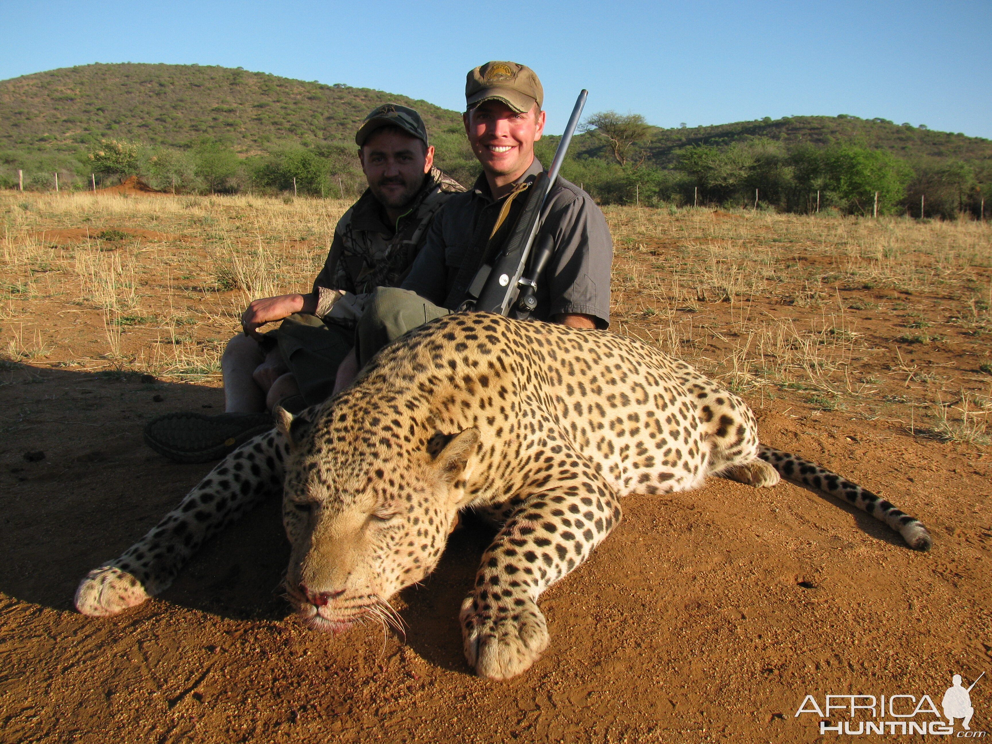 Namibia Hunt Leopard