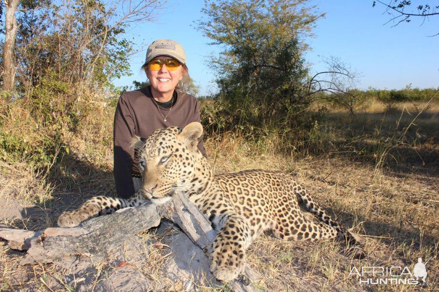 Namibia Hunt Leopard