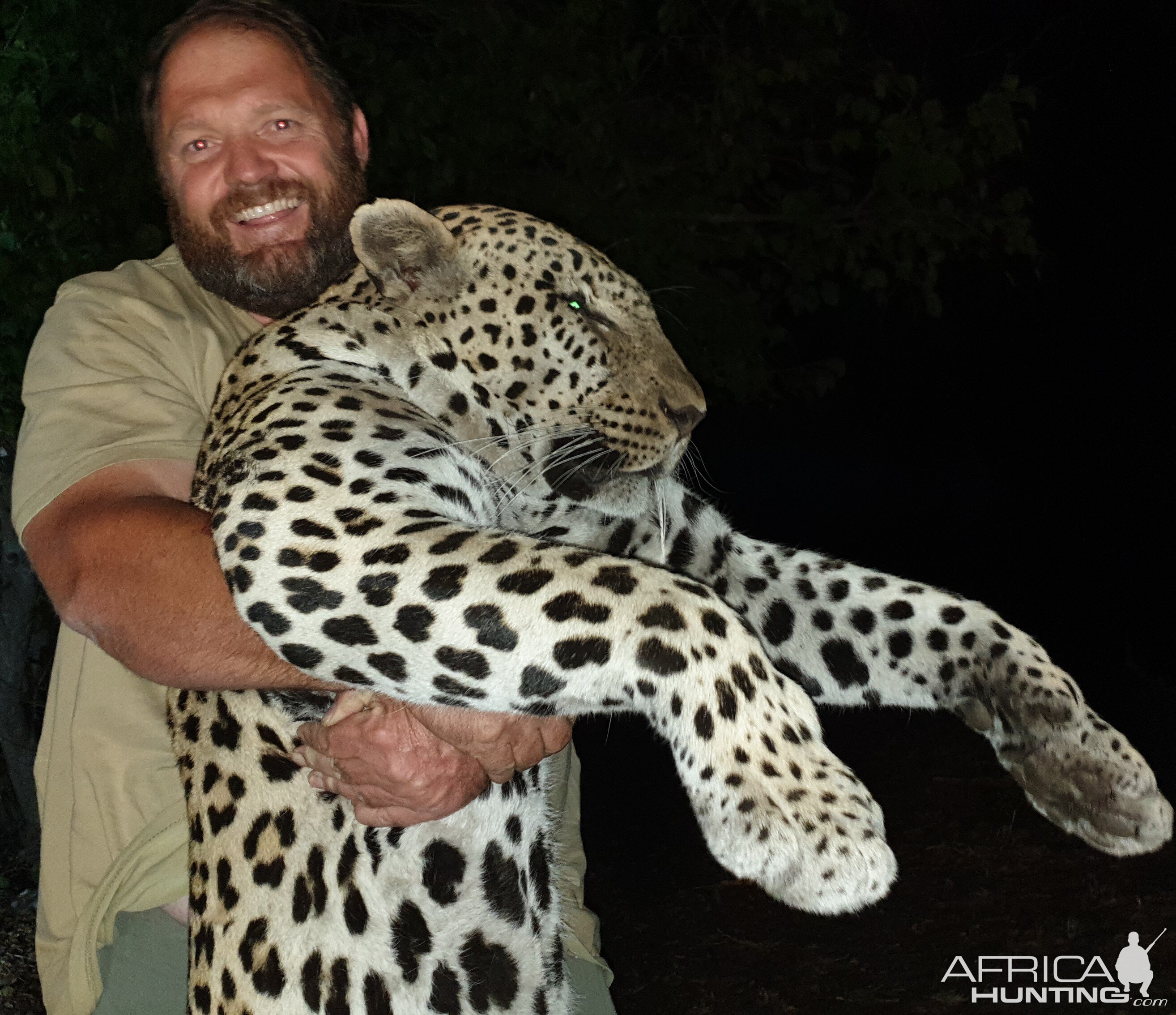 Namibia Hunt Leopard