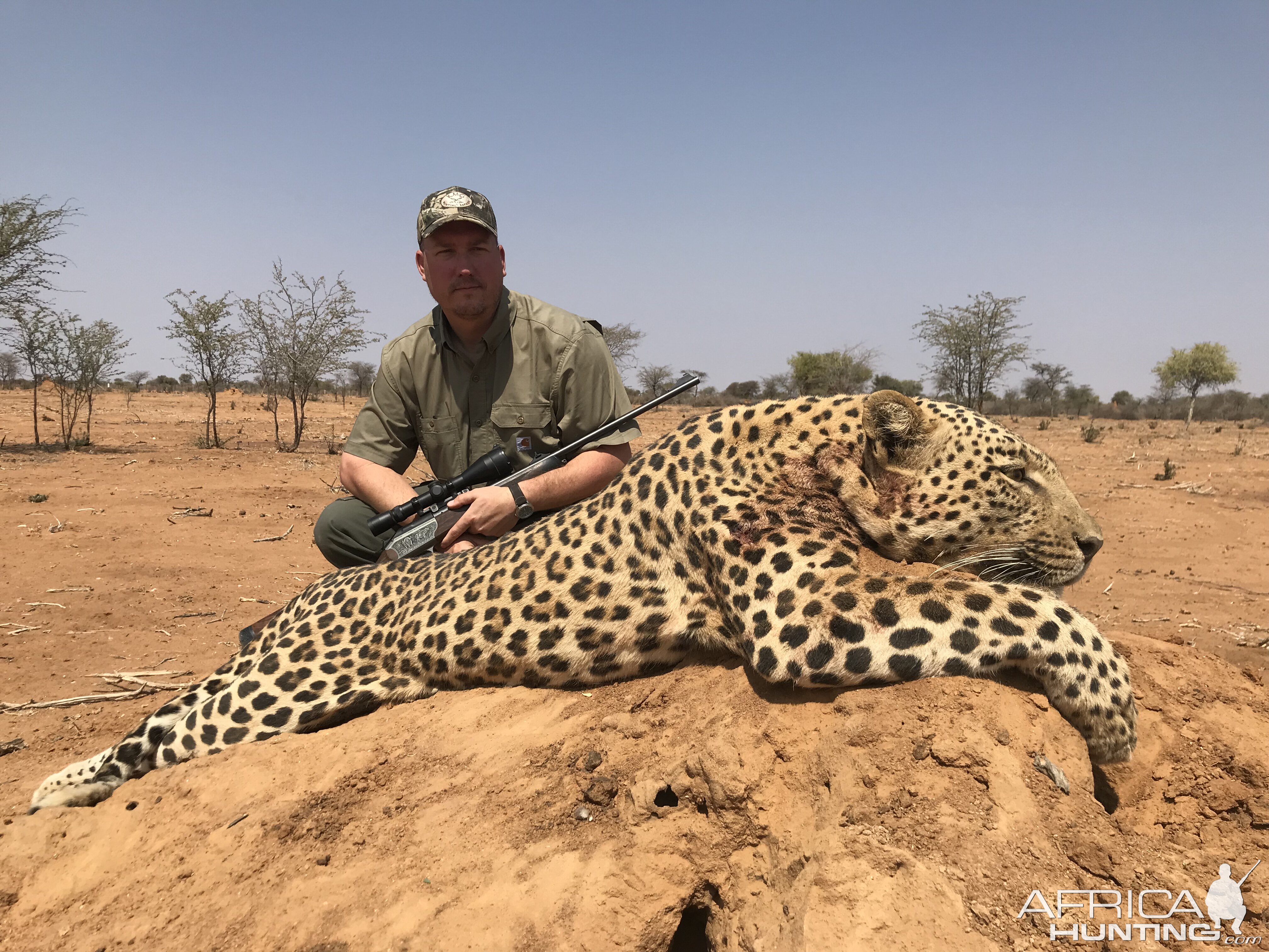 Namibia Hunt Leopard