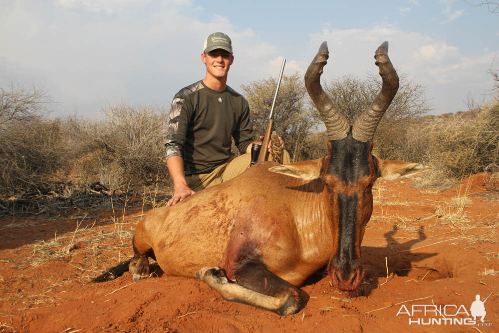 Namibia Hunt Red Hartebeest