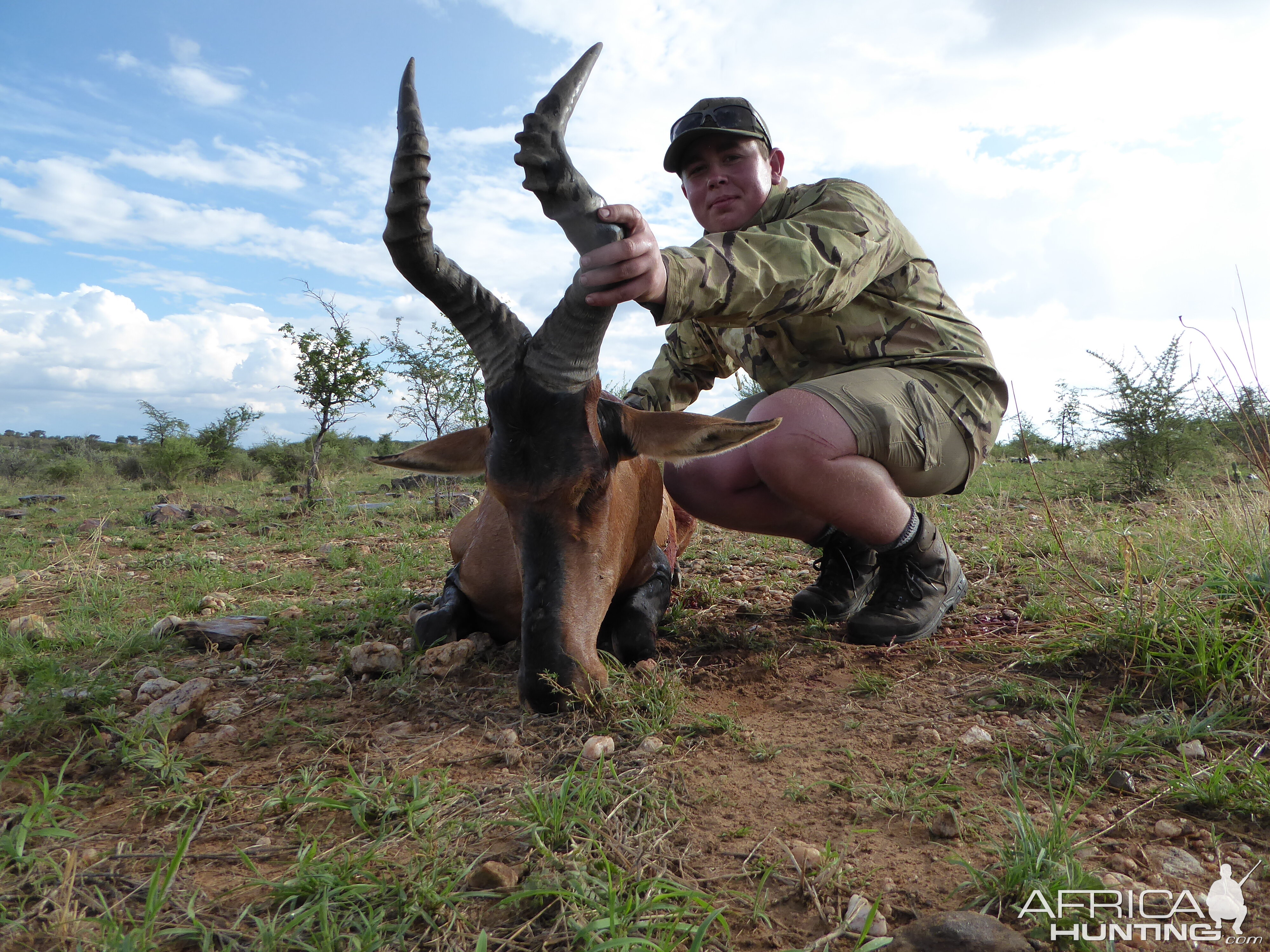 Namibia Hunt Red Hartebeest