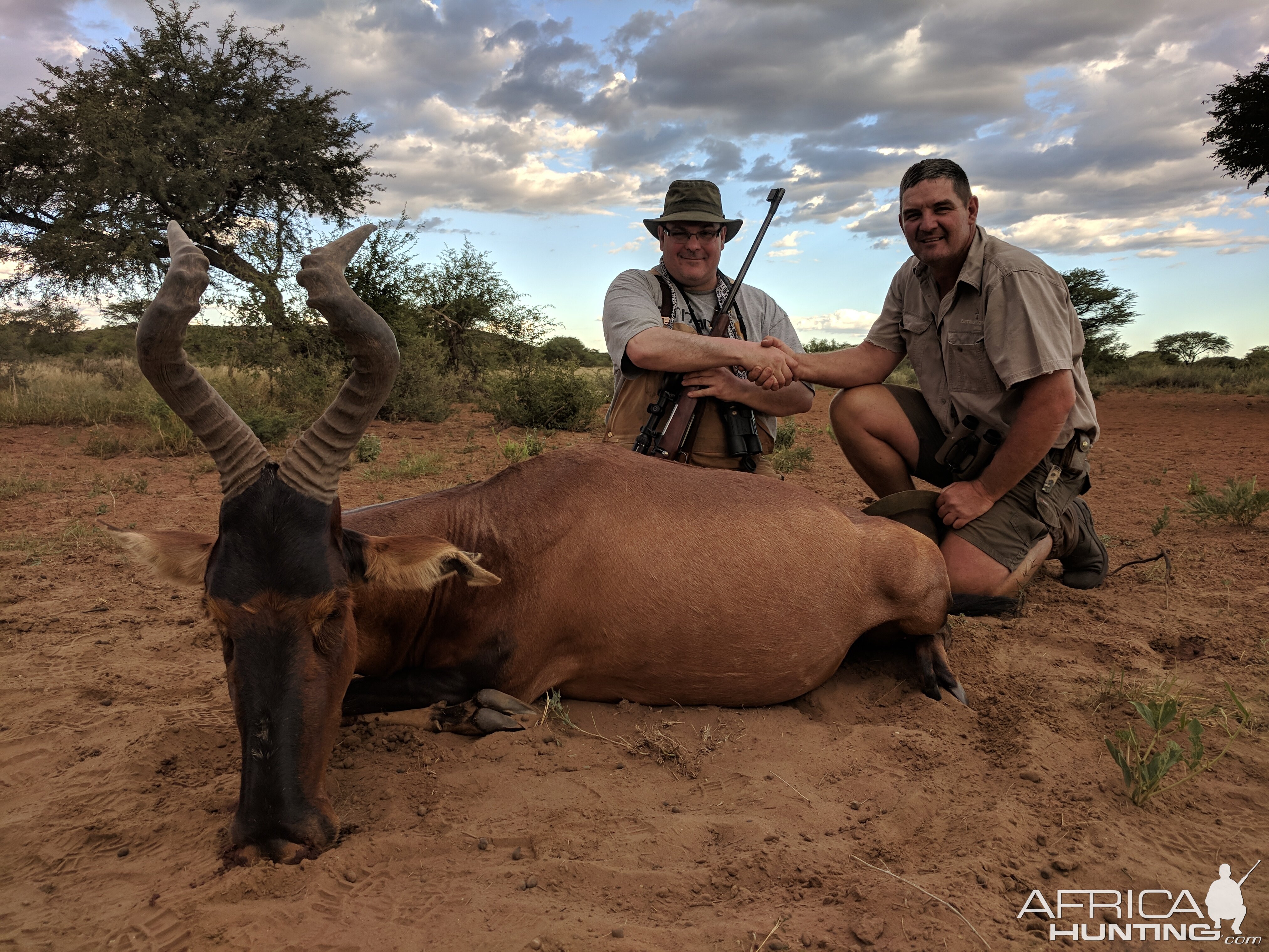 Namibia Hunt Red Hartebeest