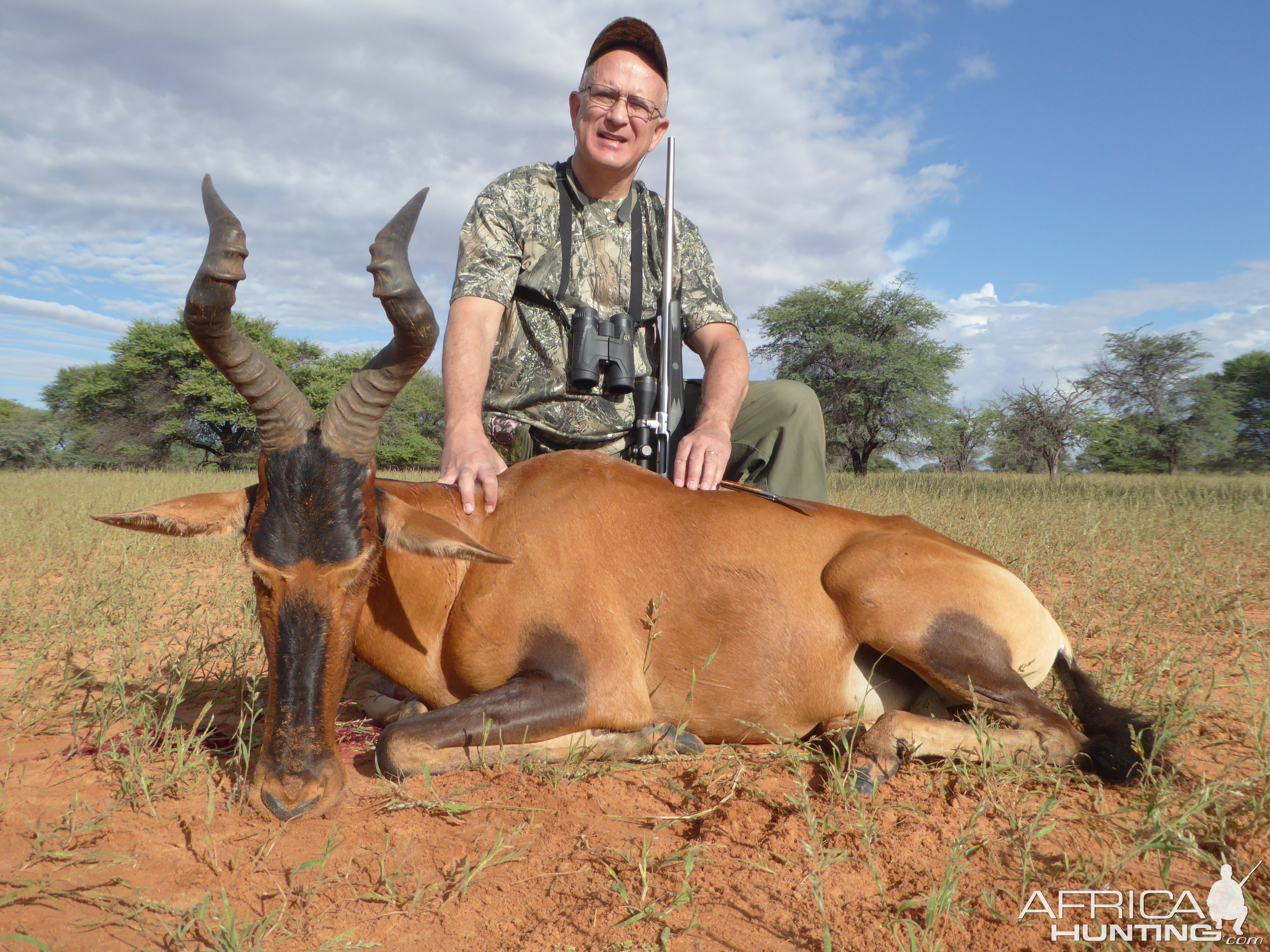 Namibia Hunt Red Hartebeest