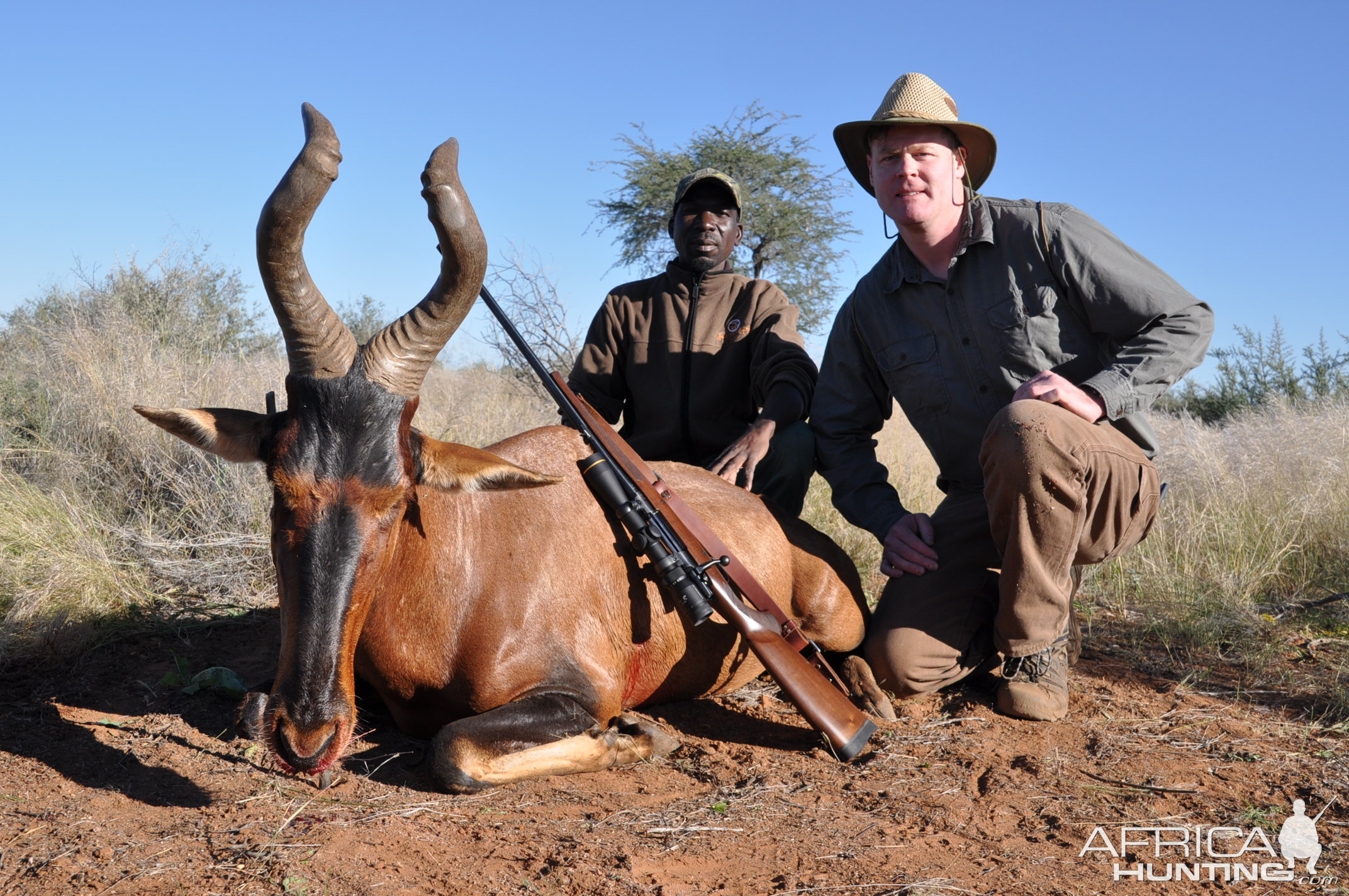 Namibia Hunt Red Hartebeest