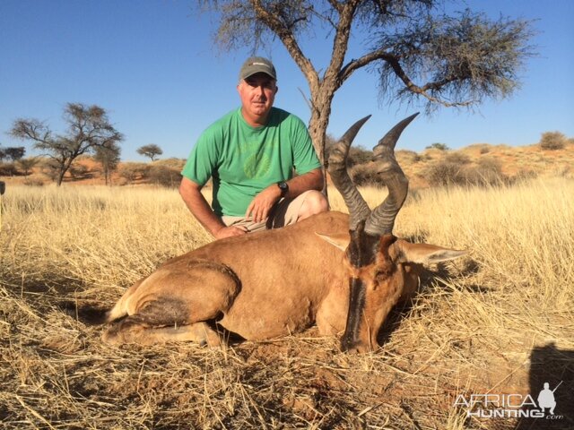 Namibia Hunt Red Hartebeest