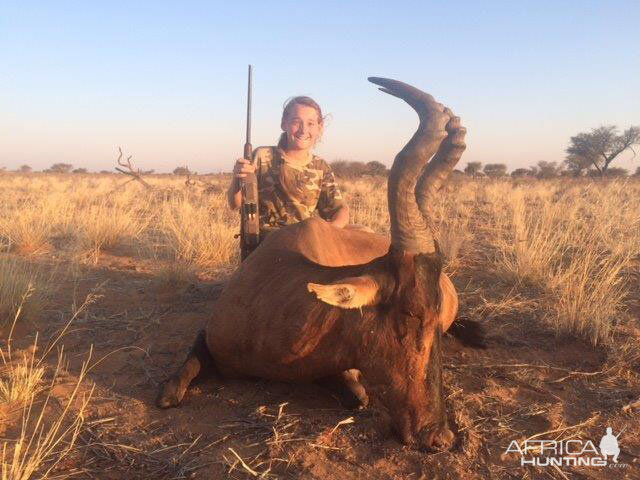 Namibia Hunt Red Hartebeest