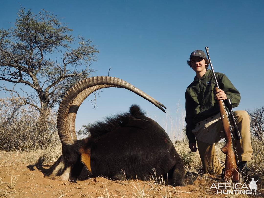 Namibia Hunt Sable Antelope