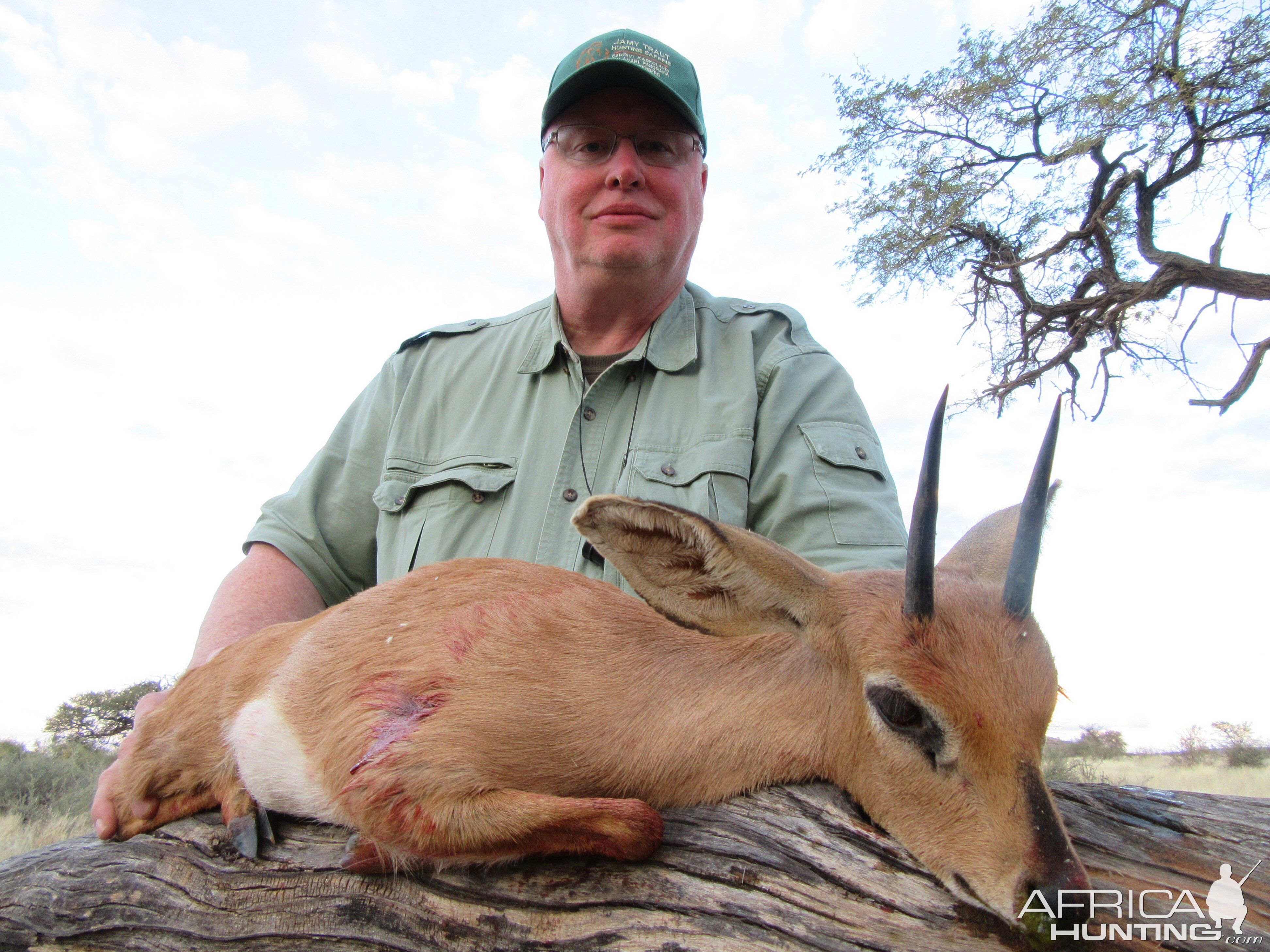 Namibia Hunt Steenbok