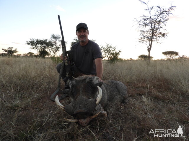 Namibia Hunt Warthog