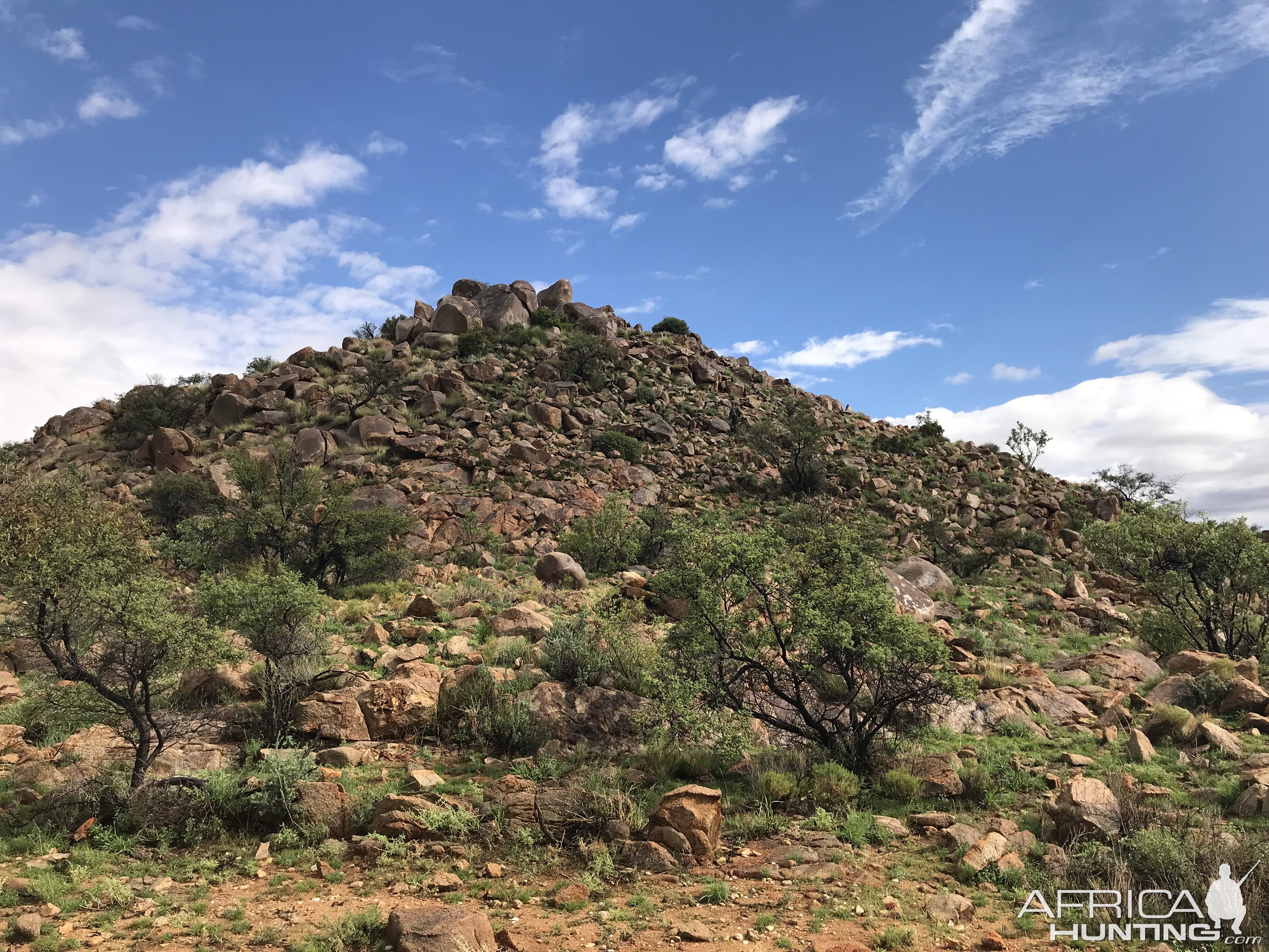 Namibia Hunt