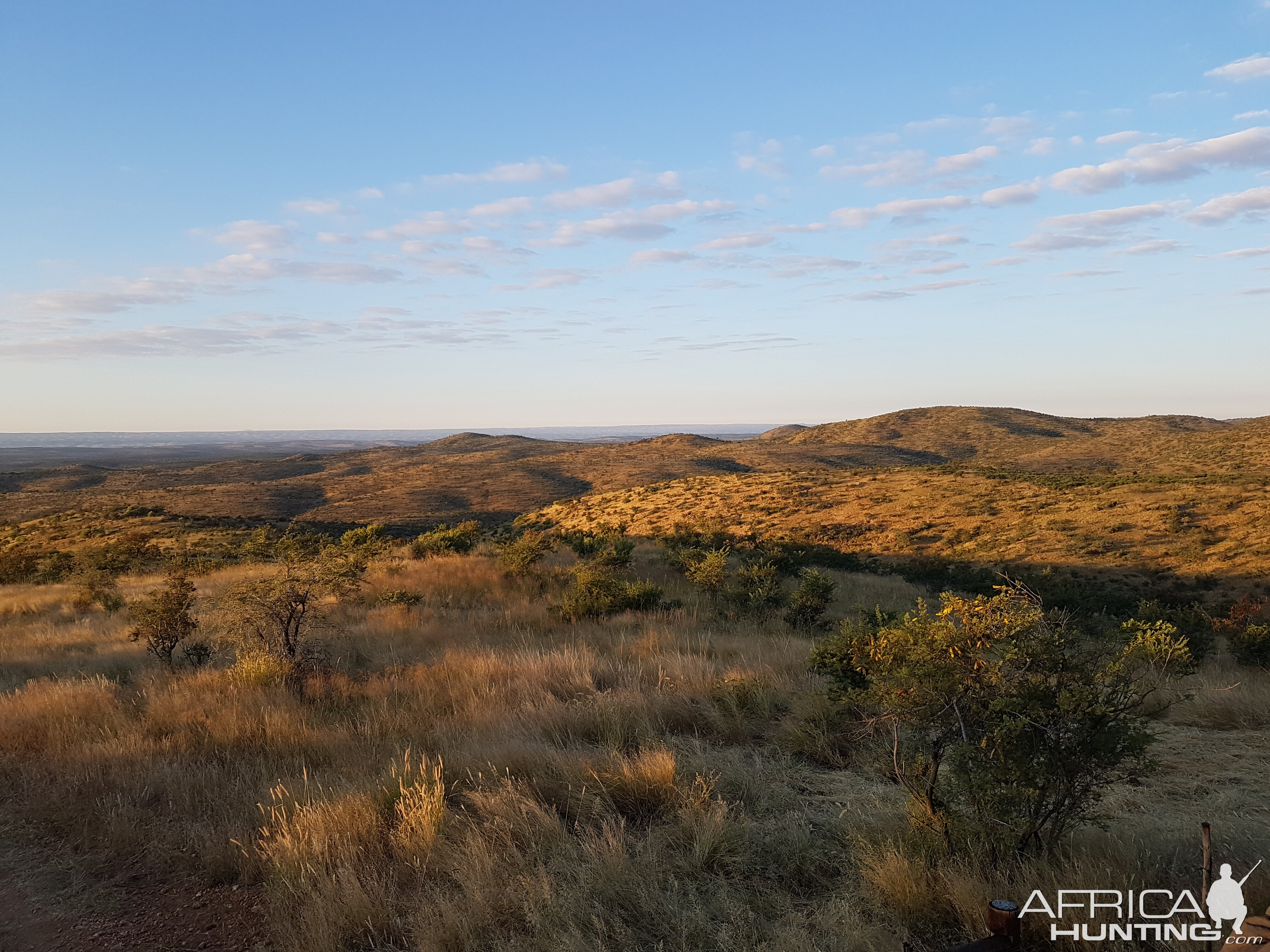 Namibia Hunt