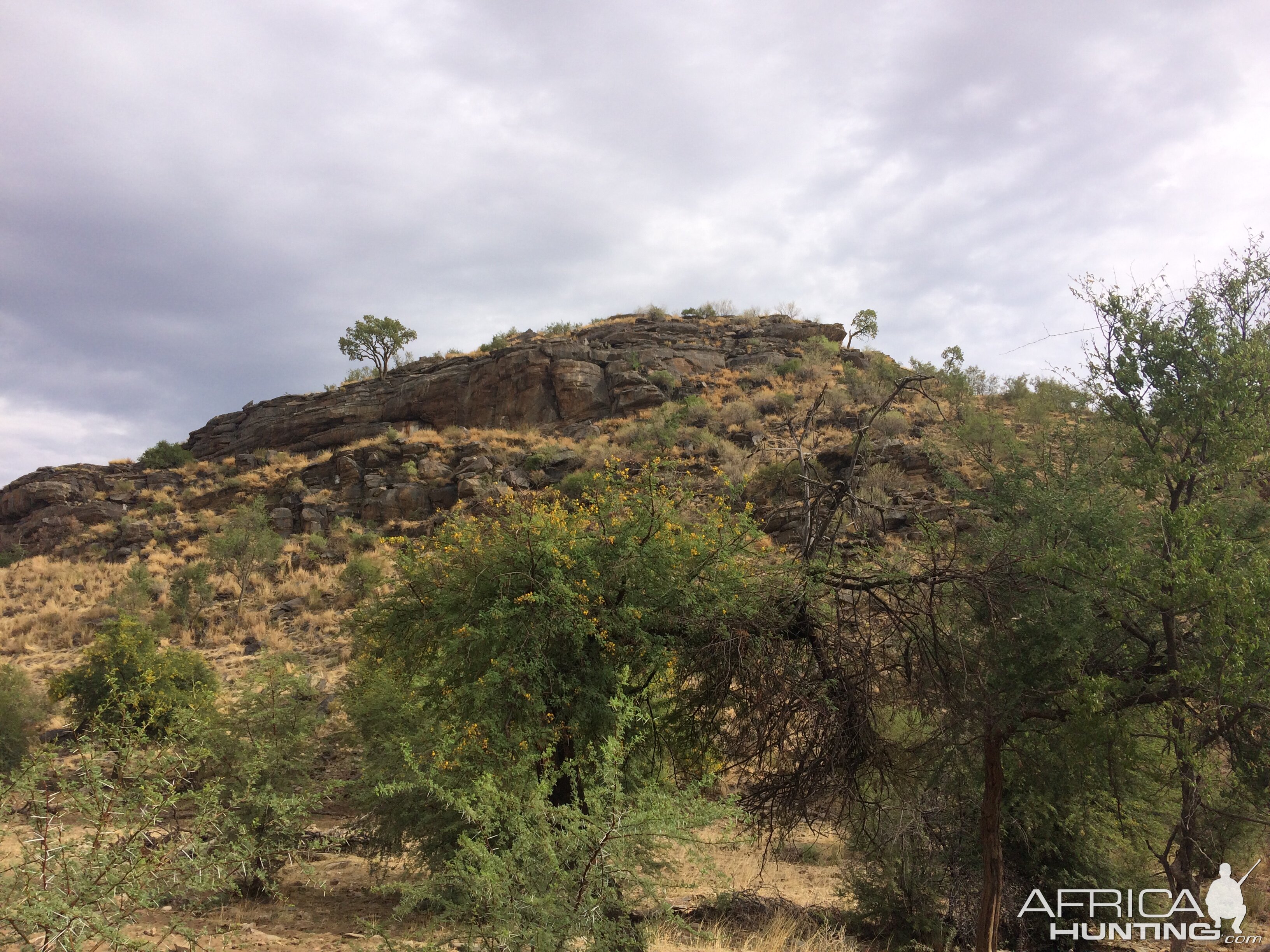 Namibia Hunt