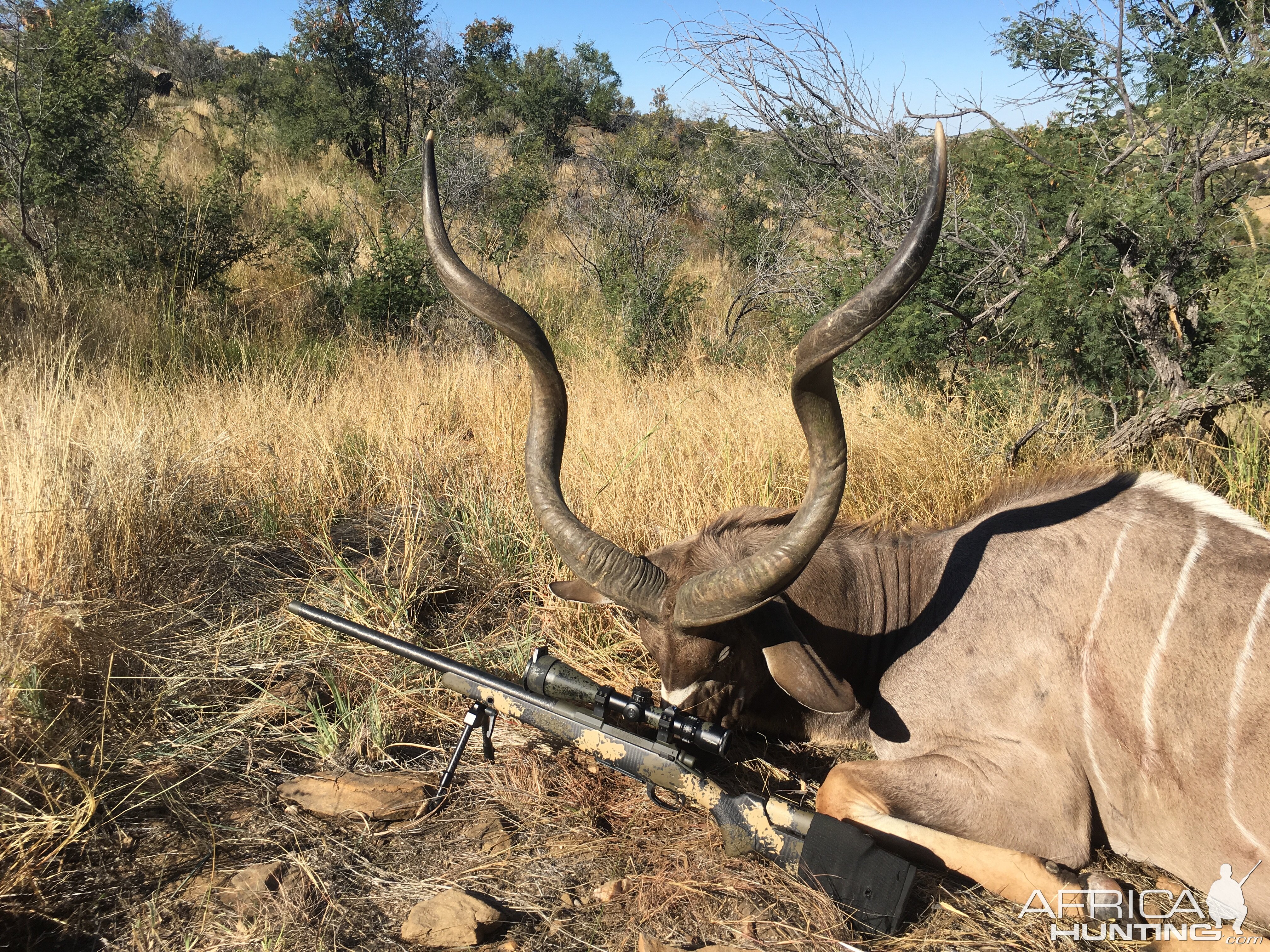 Namibia Hunting 47/48" Inch Kudu