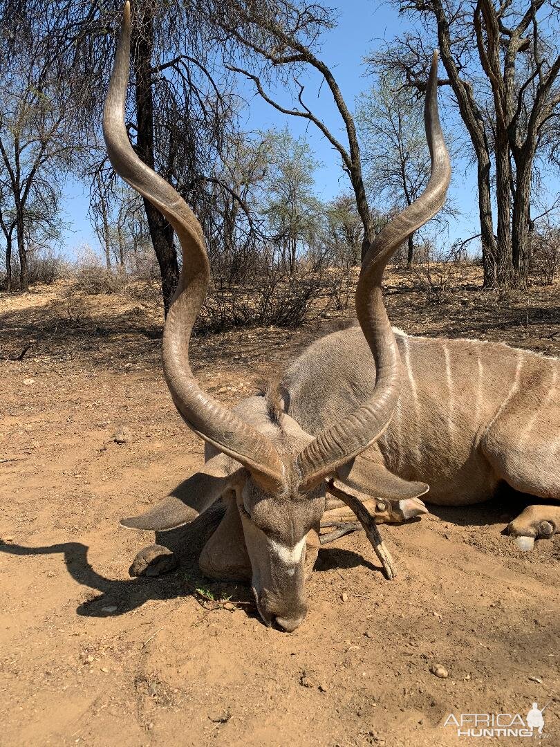 Namibia Hunting 52" Inch Kudu