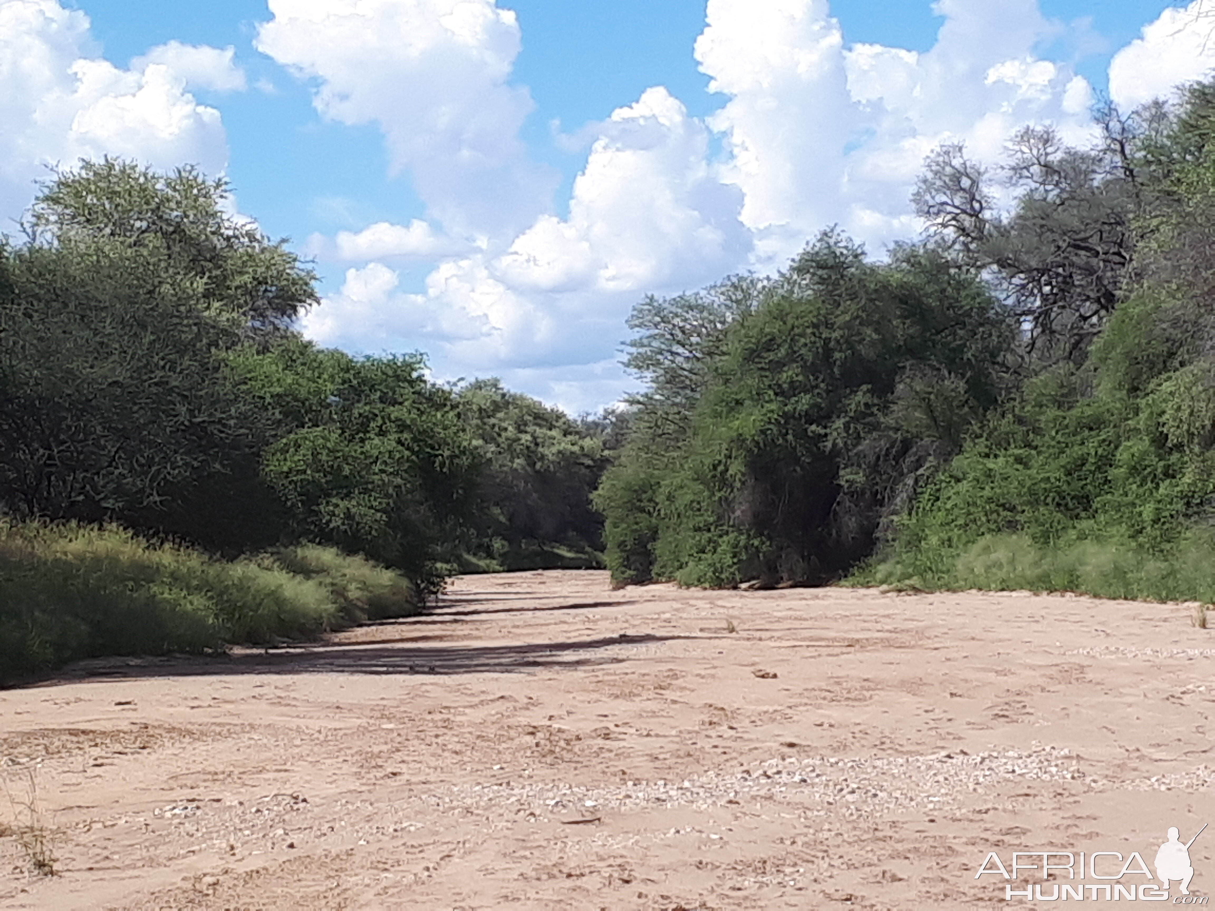 Namibia Hunting Area