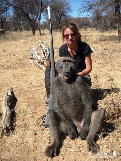 Namibia Hunting Baboon