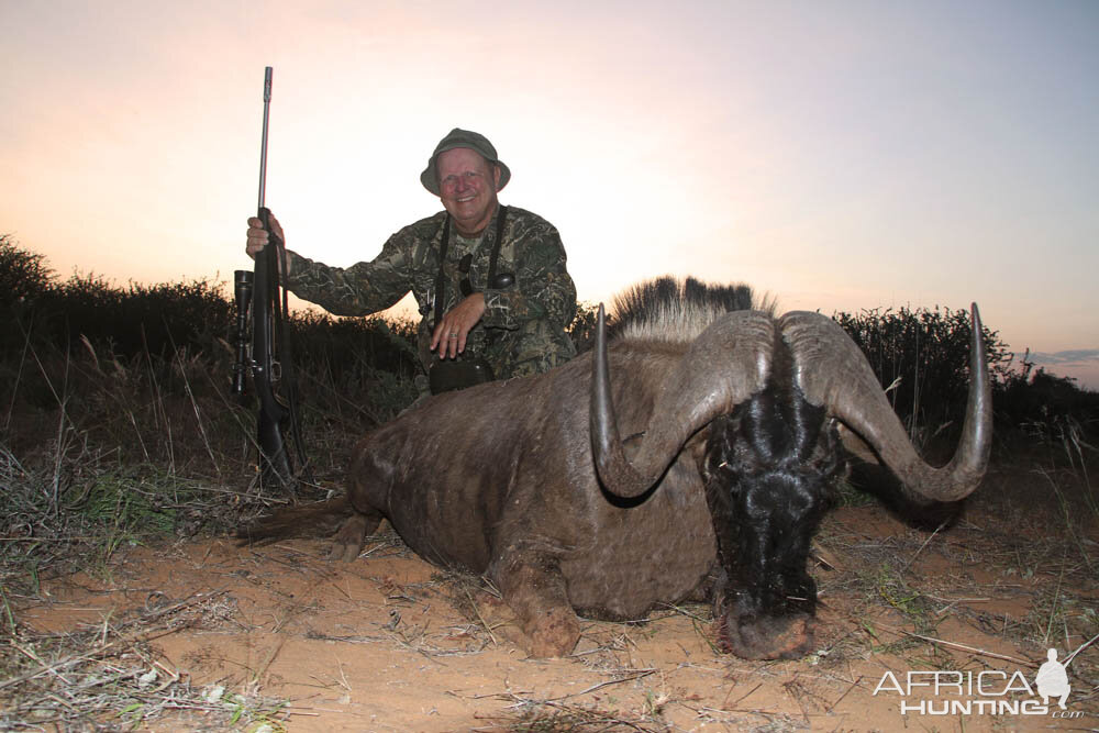 Namibia Hunting Black Wildebeest