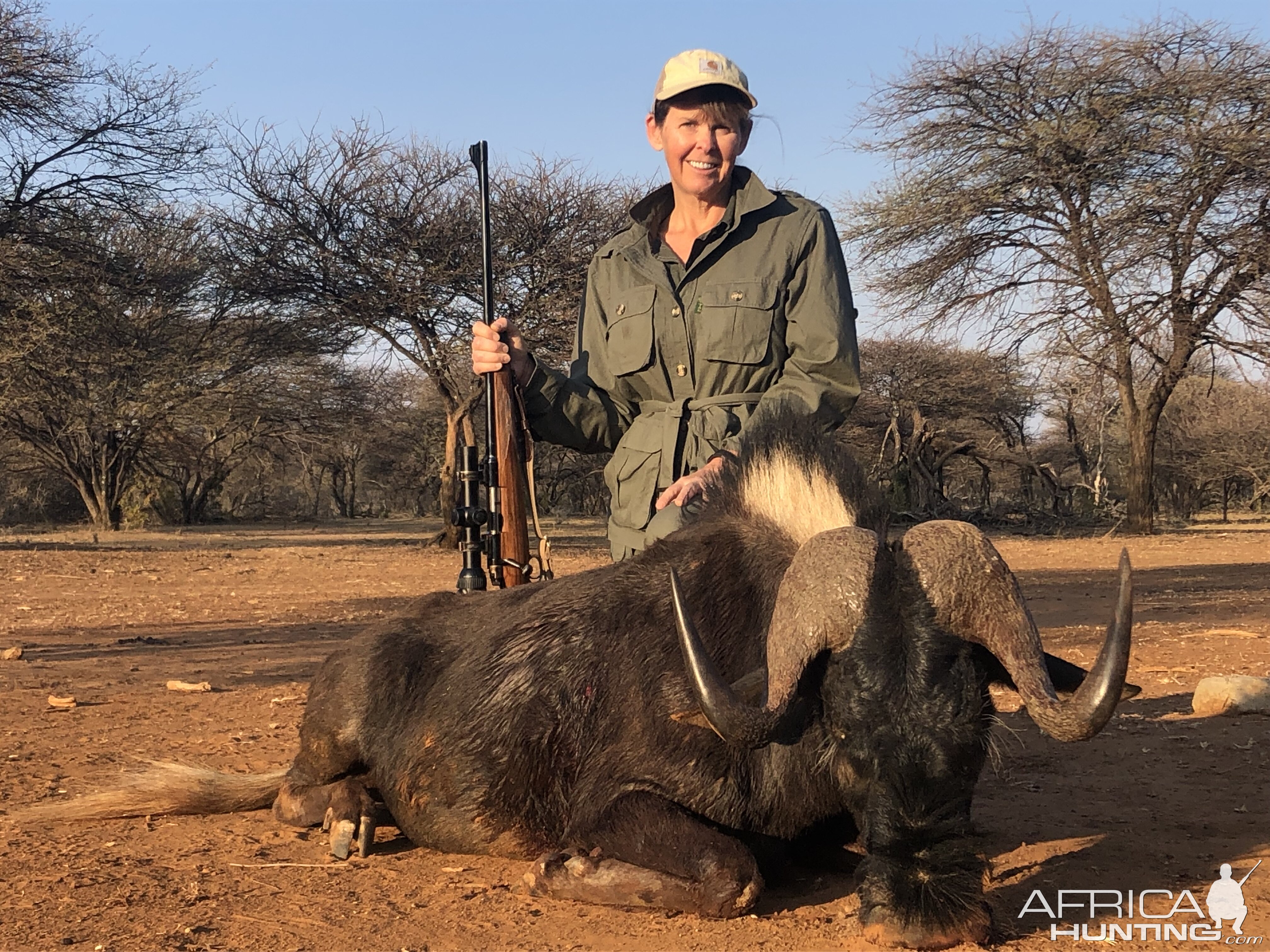 Namibia Hunting Black Wildebeest